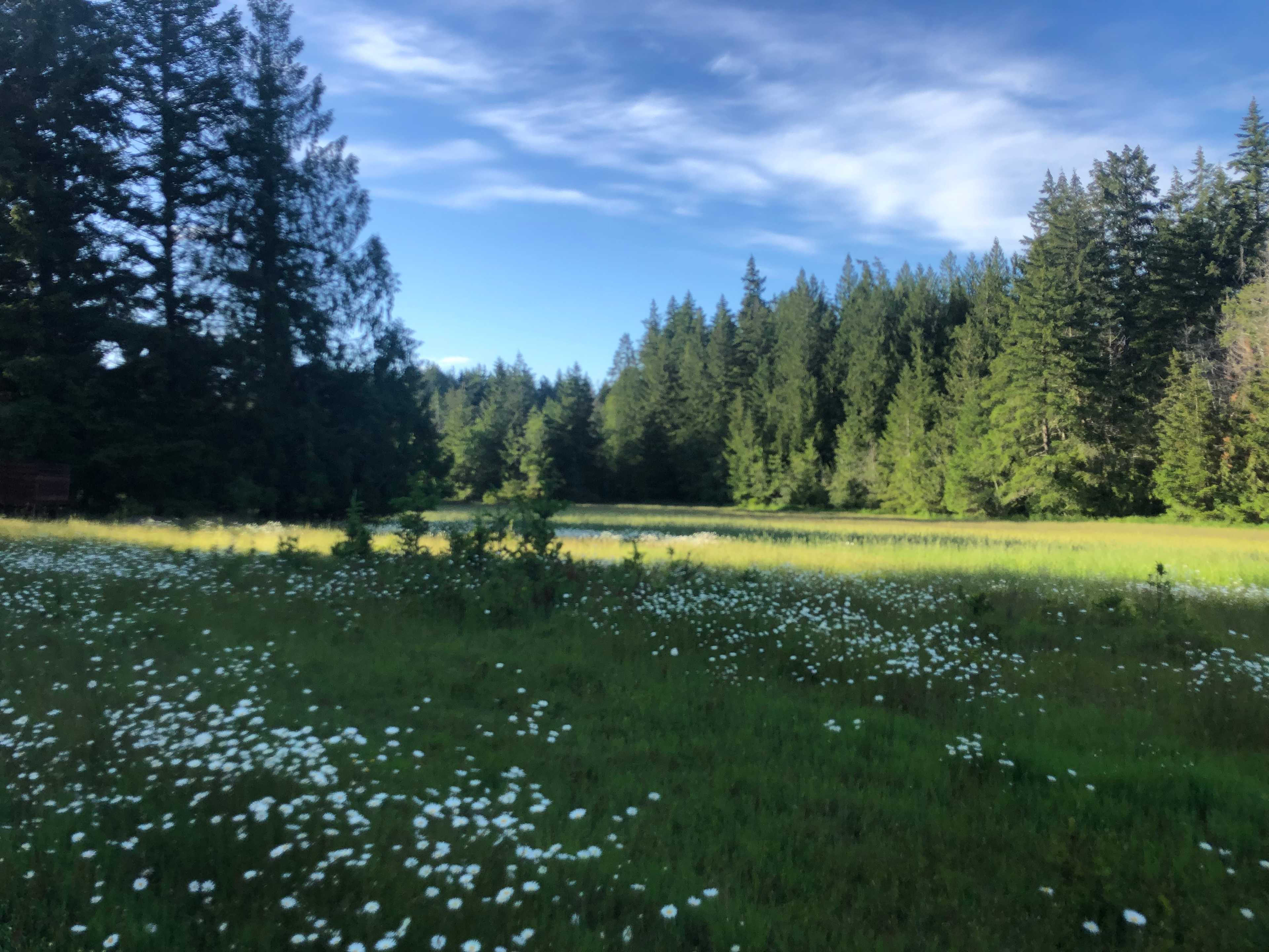 Chickadee Gardens