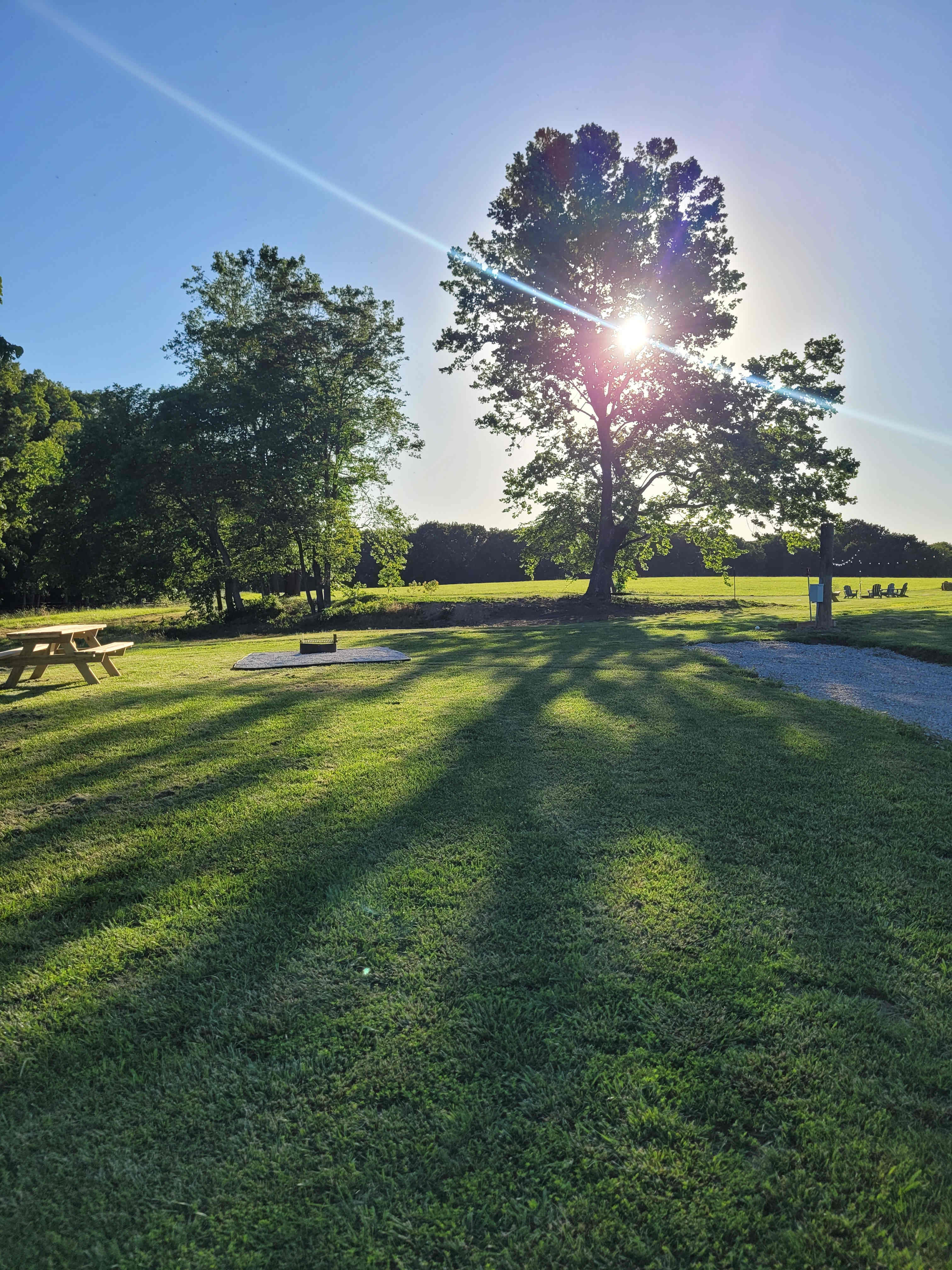 The Campsites At Haywire Acres