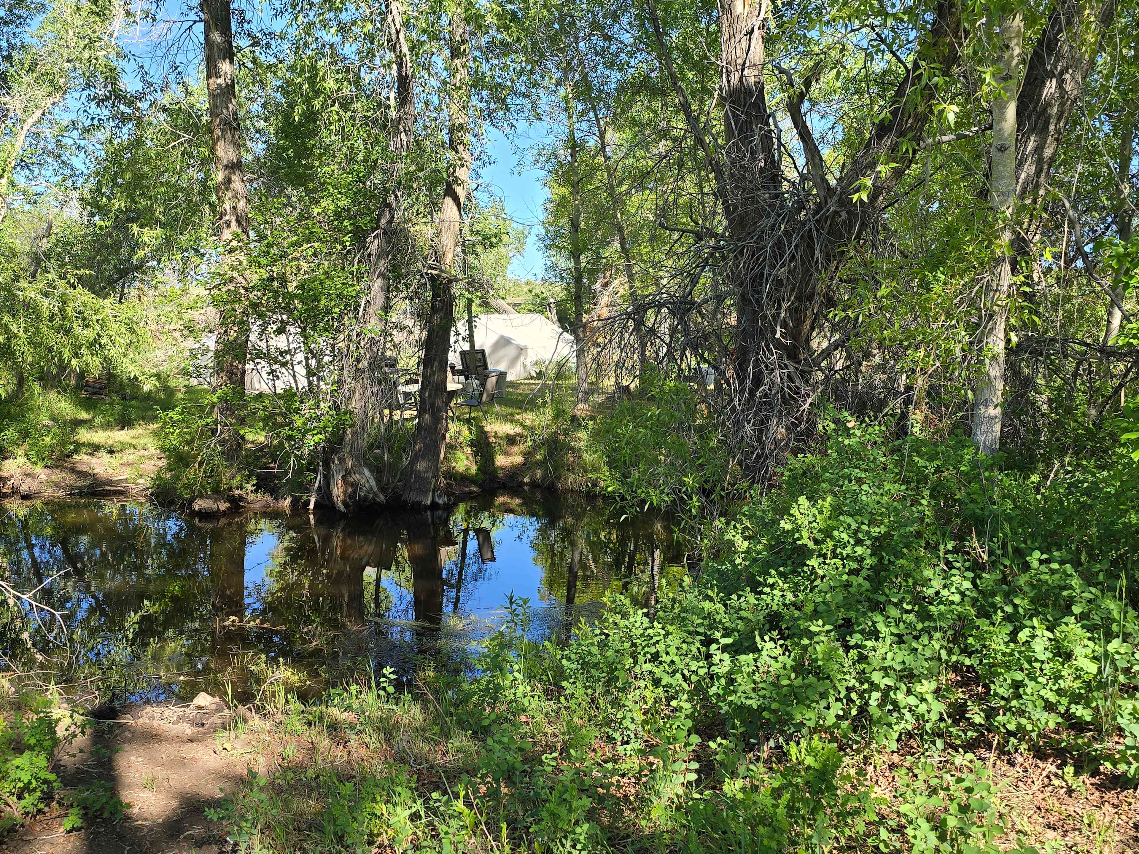 Turkey Creek Ranch