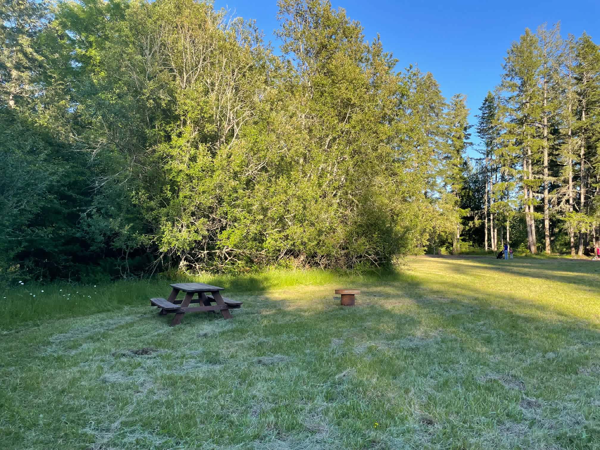 Meadow site 1