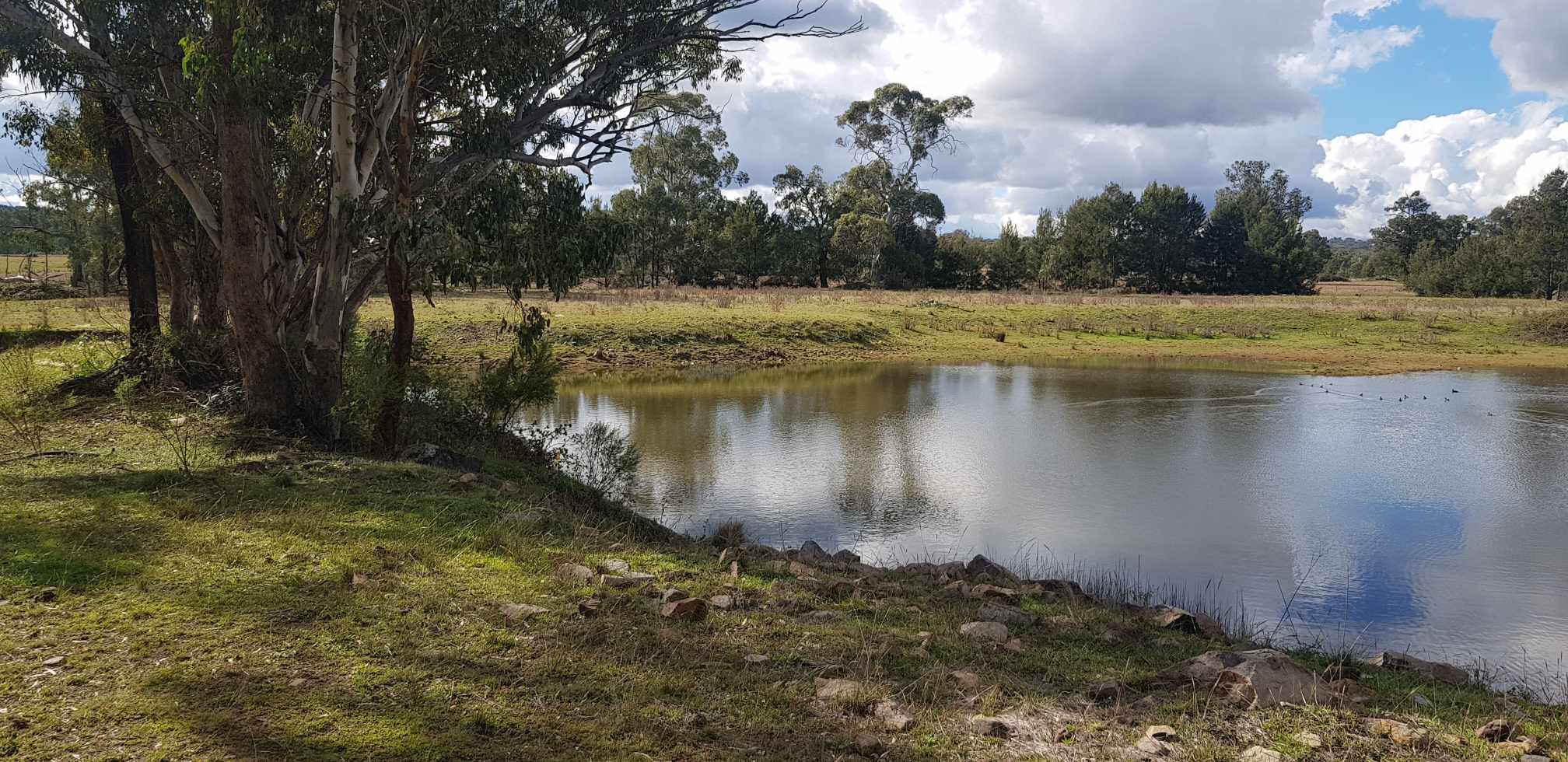 Billabong Blue Fossicking Park