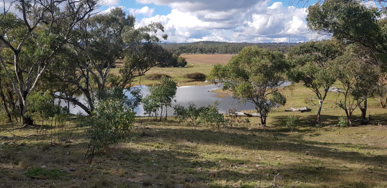 Billabong Blue Fossicking Park