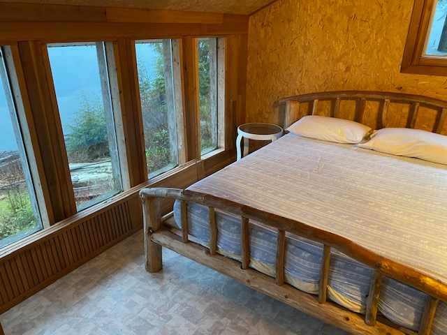 8 Debeck Creek Pitt Lake BC