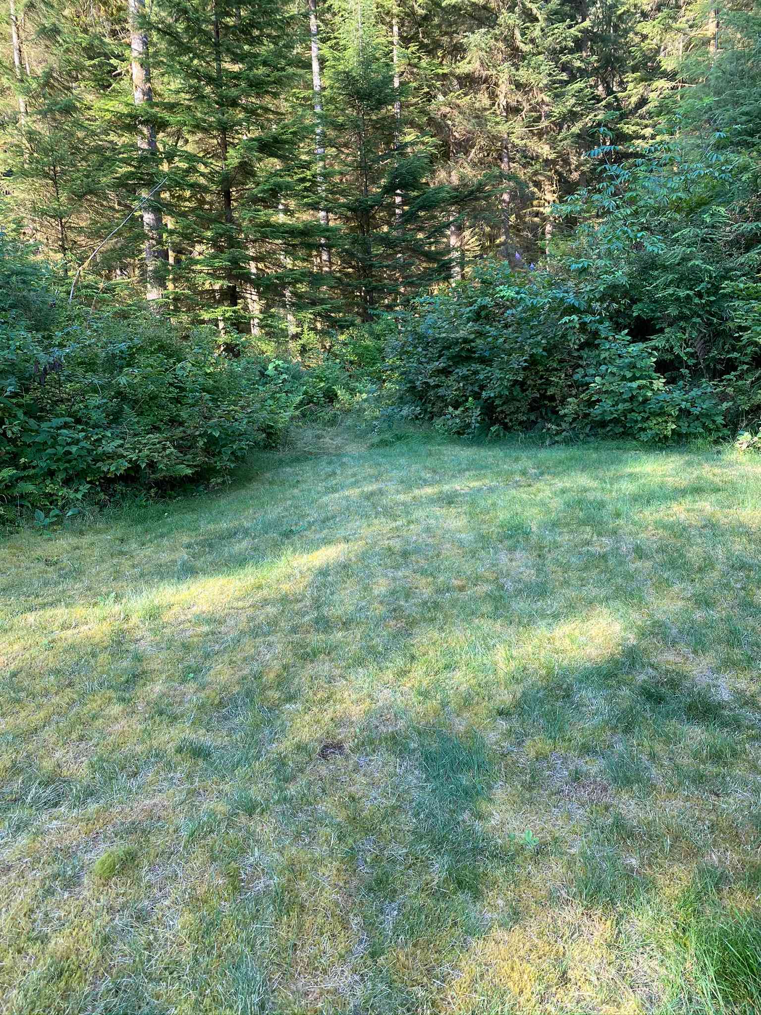 8 Debeck Creek Pitt Lake BC