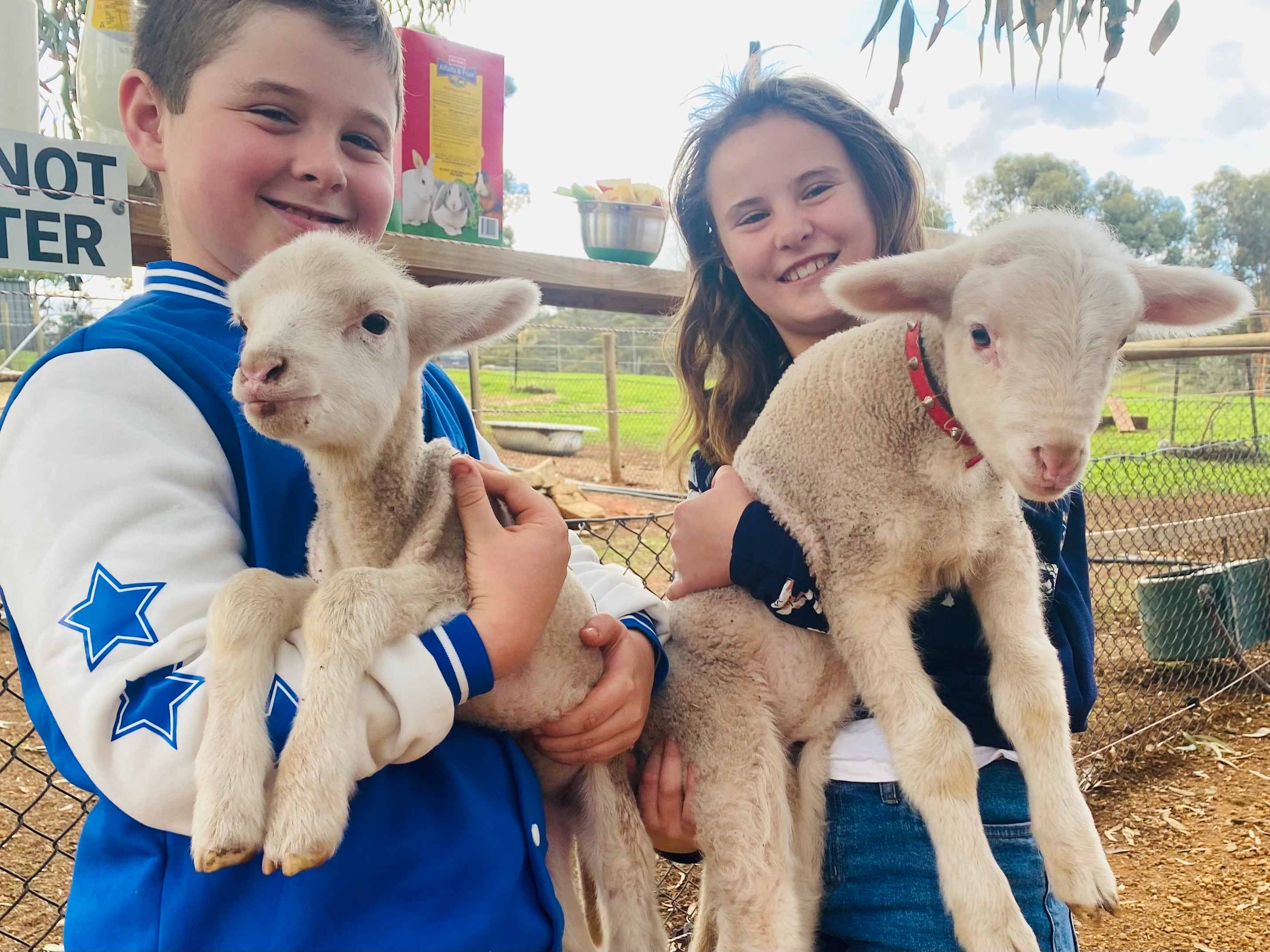 Sandalwood Downs  Farm Stay Toodyay