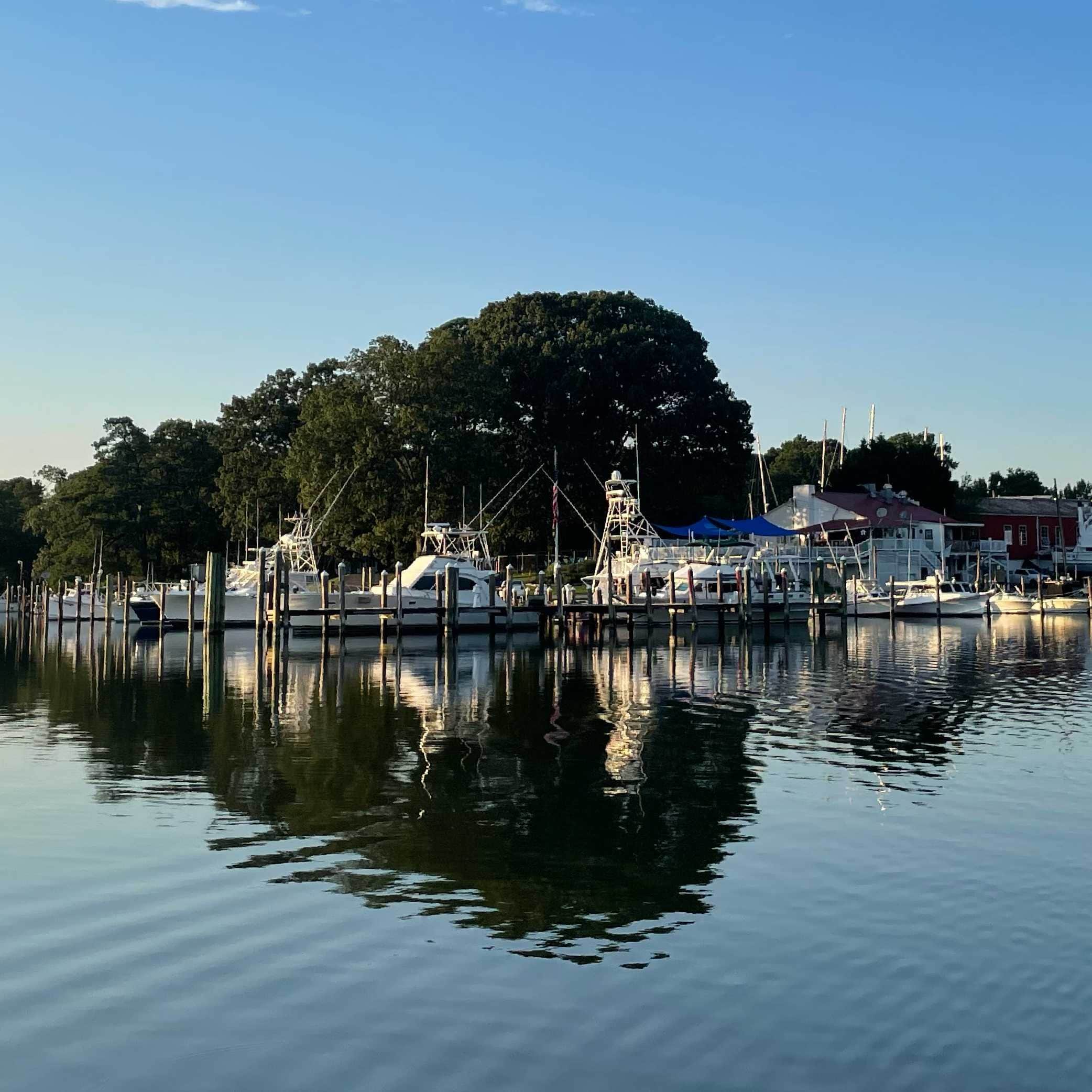 Dennis Point Marina and Campground