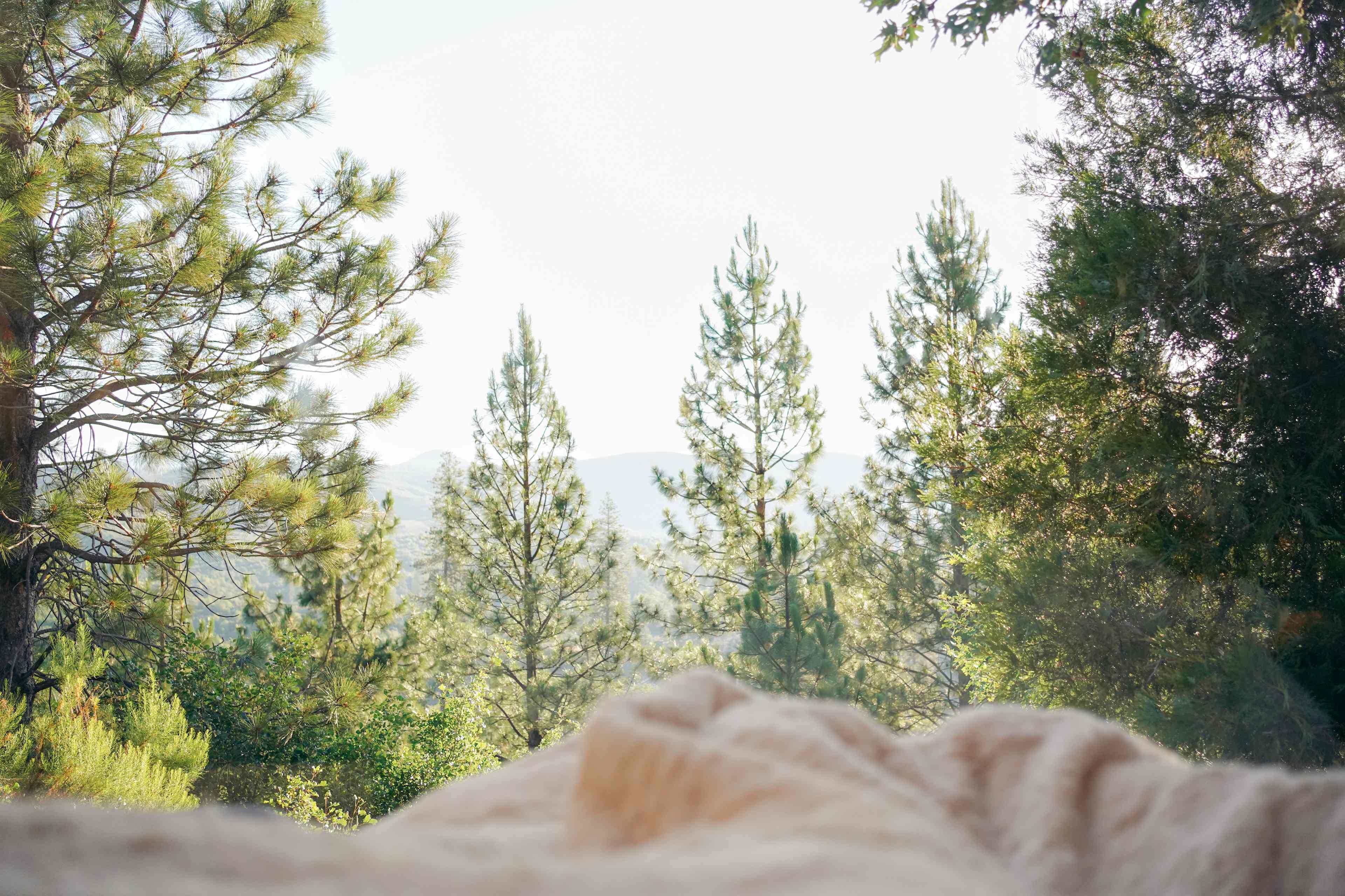 View from bed 