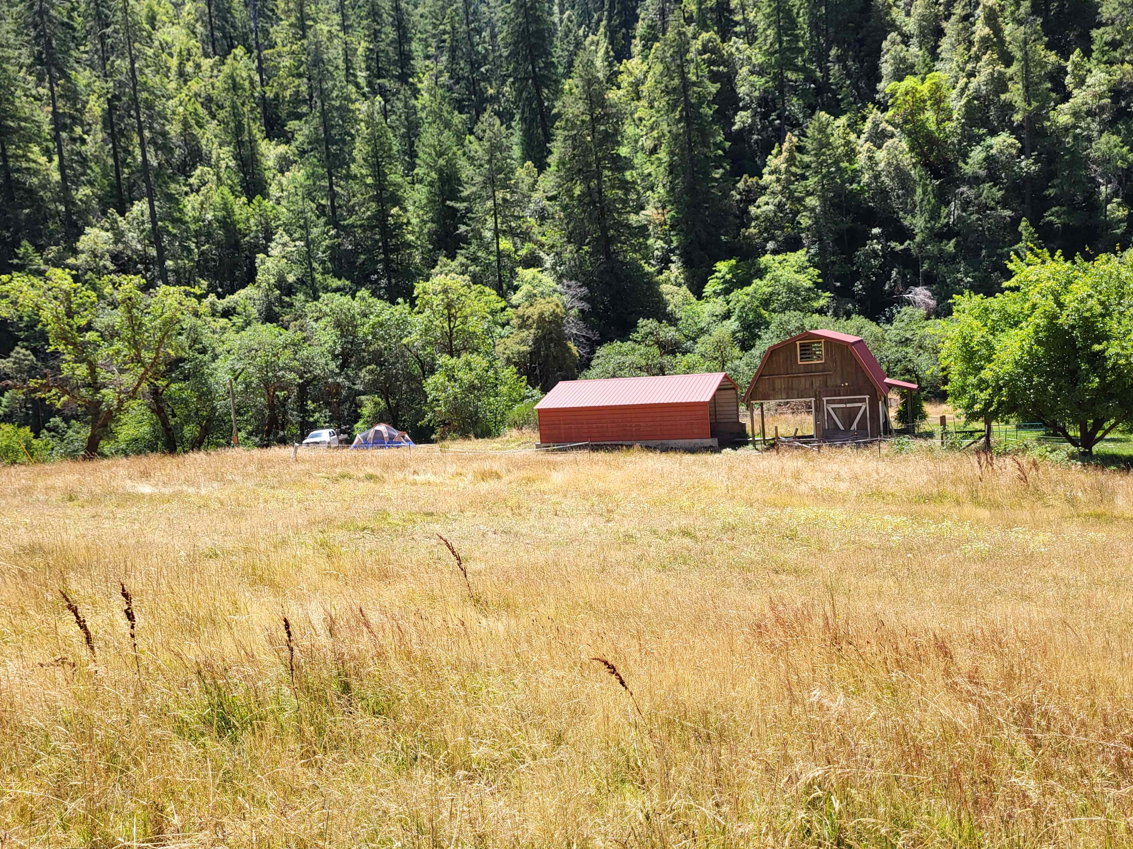 Angel Ranch Horse Camp