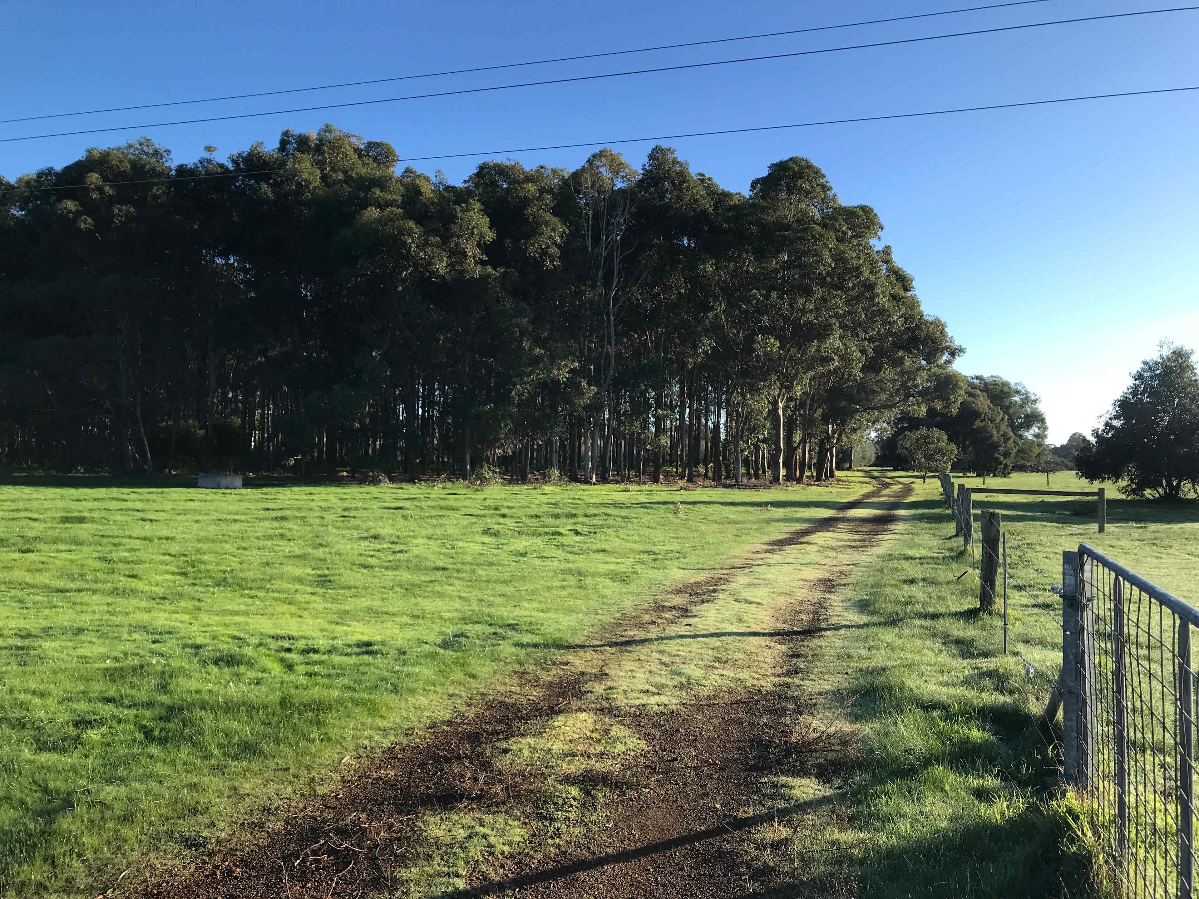 Coastal Farm Stay