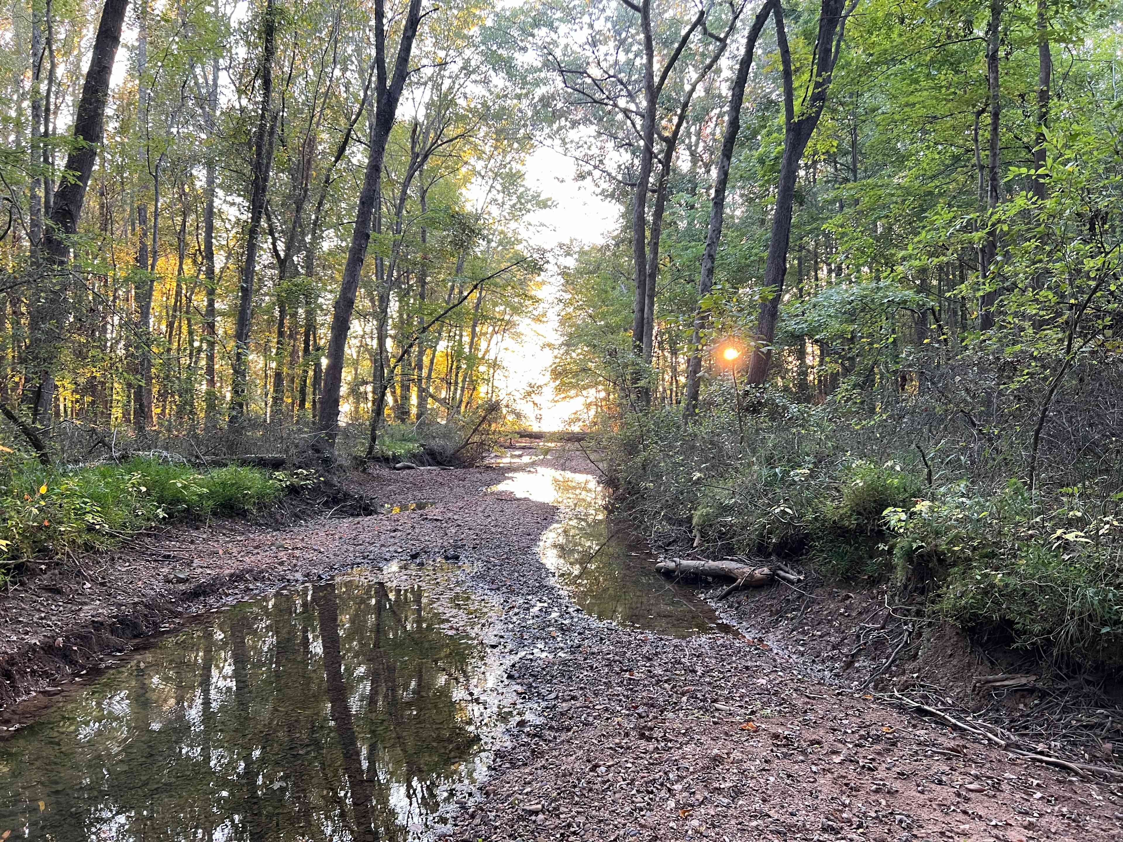 Quiet Lake Lake Barkley Access Camp