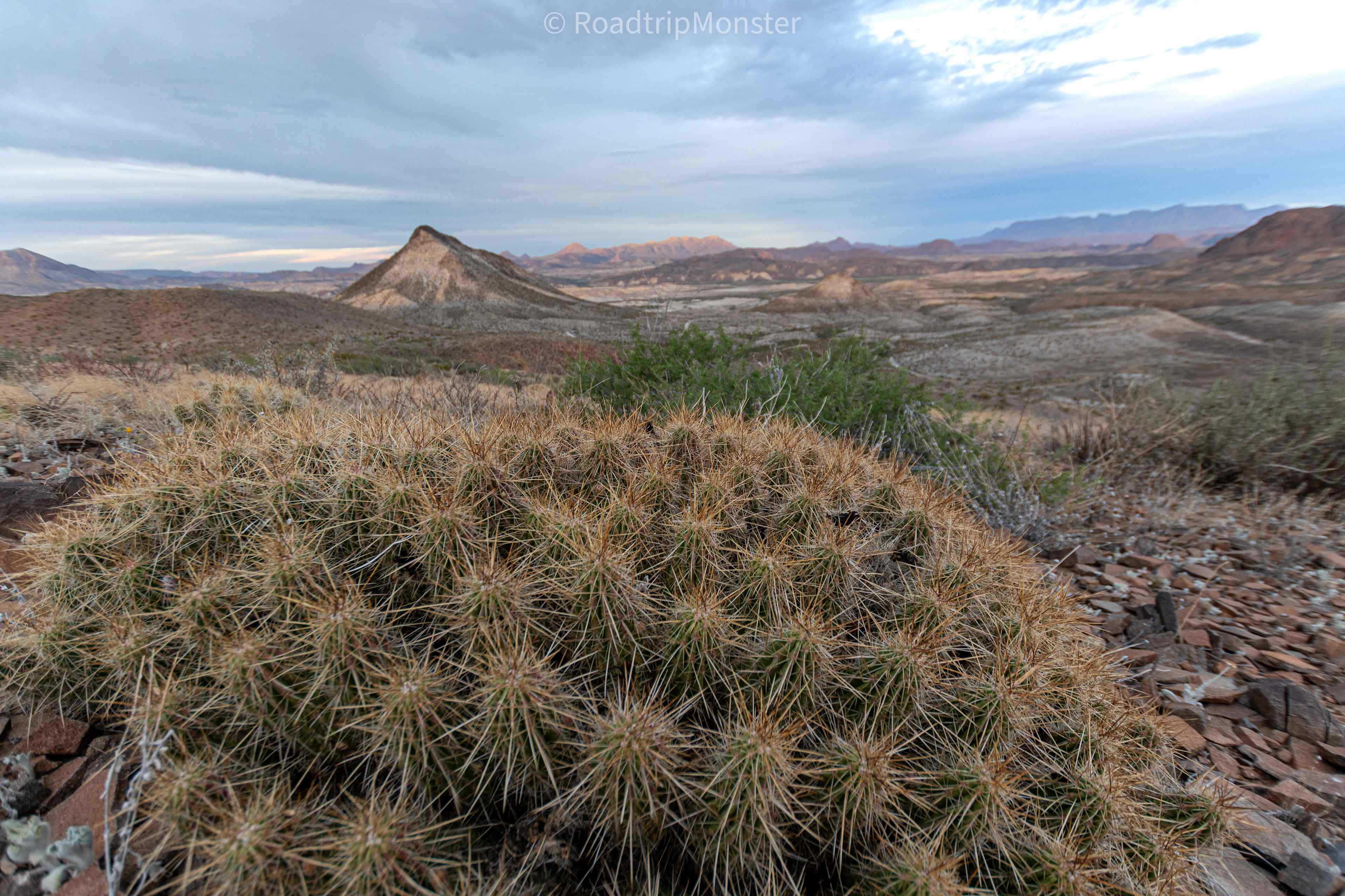 Terlingua Mountain Wildlife Camp