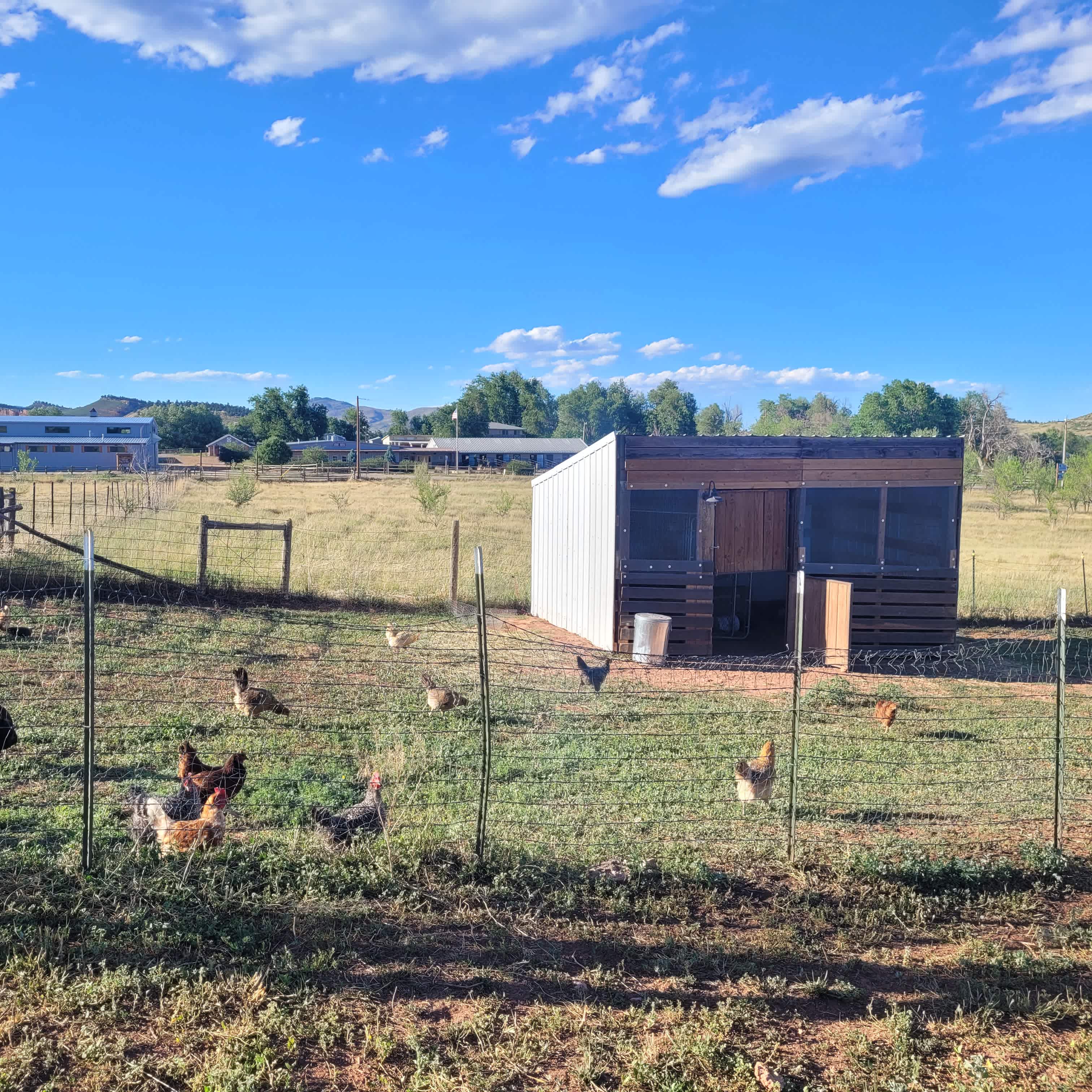 Bar 29 Ranch