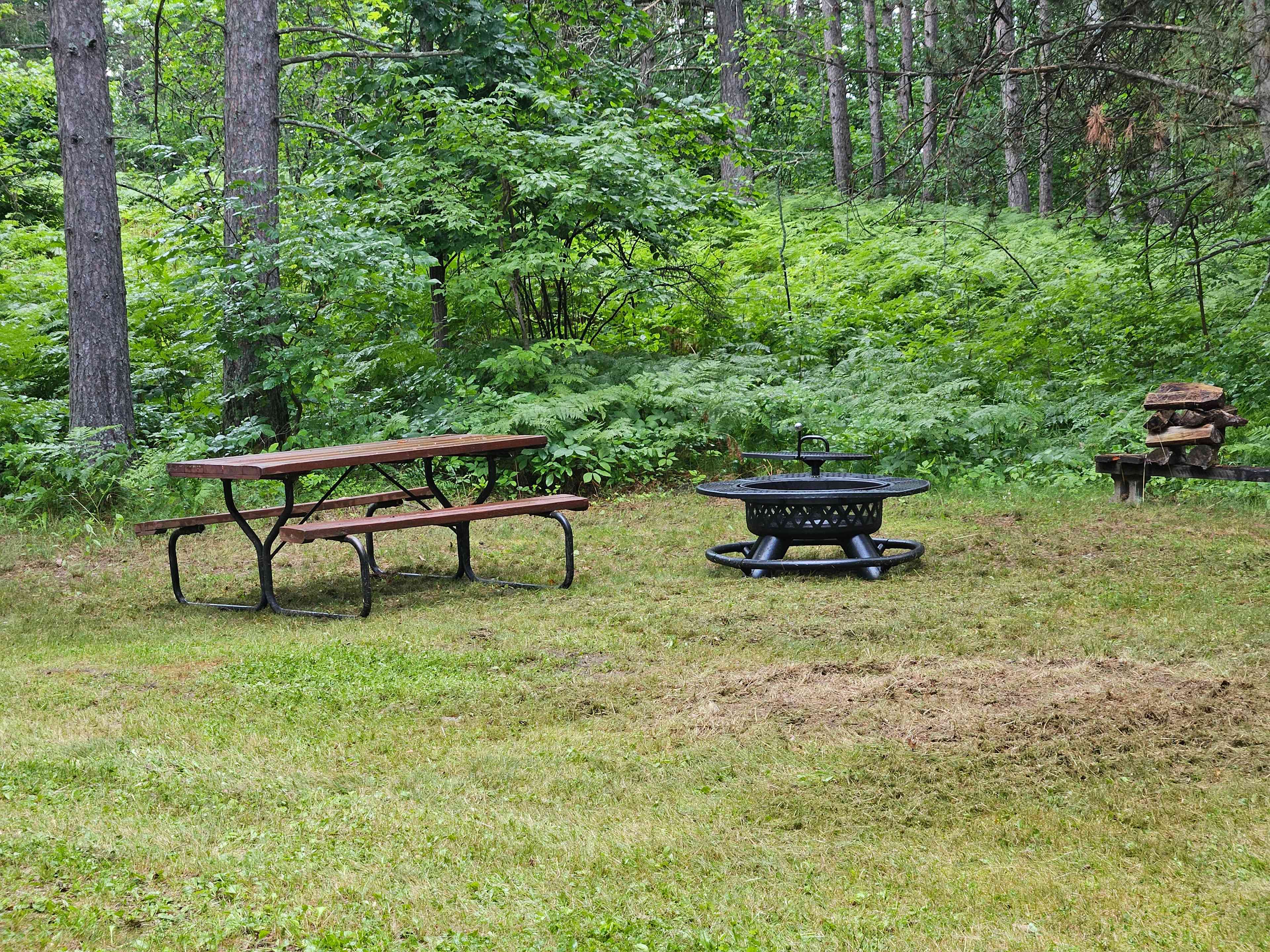 Camp among the pines on Little Jay