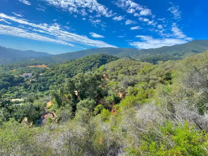 Topanga Oasis