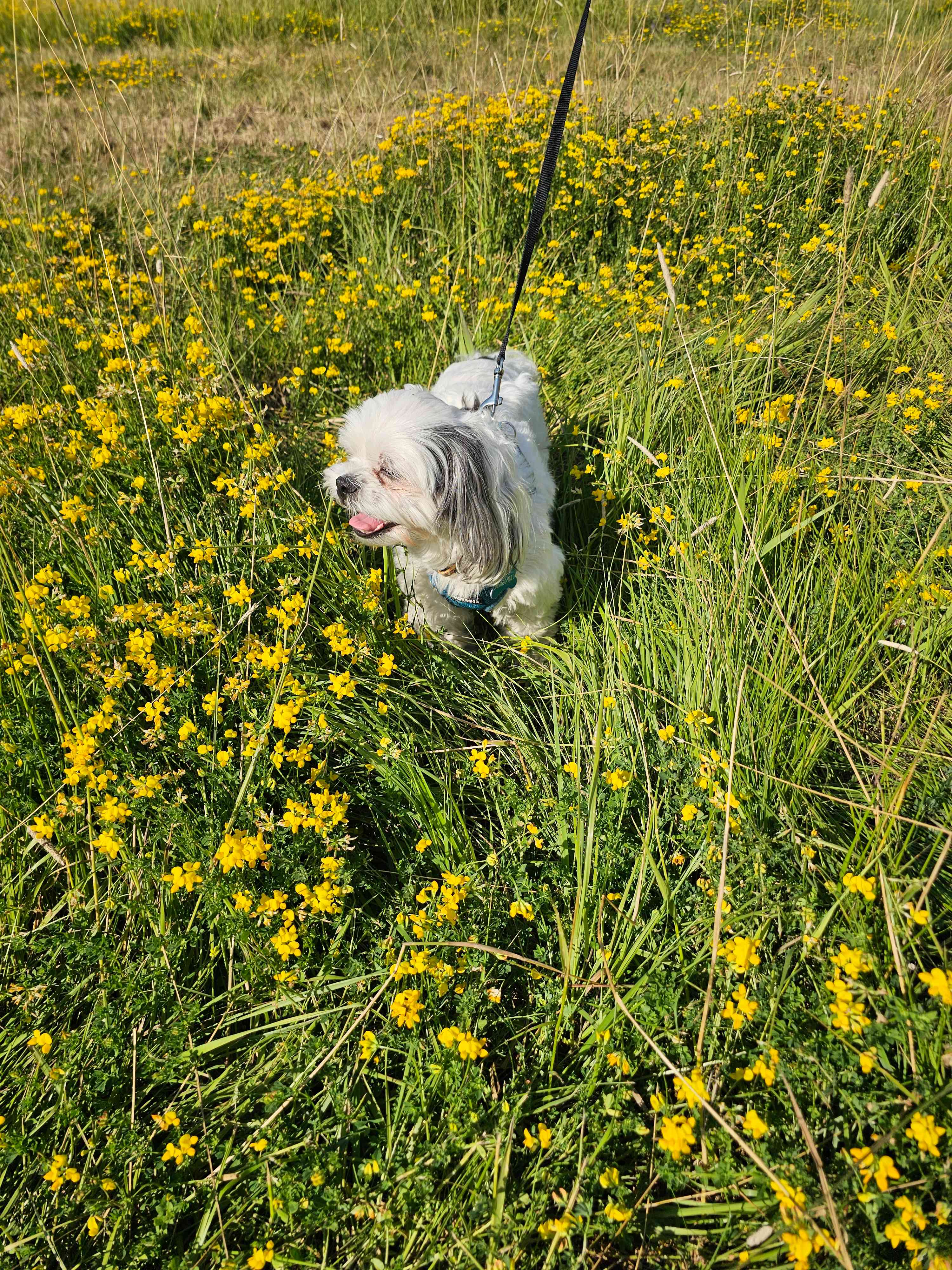 field area by our RV
