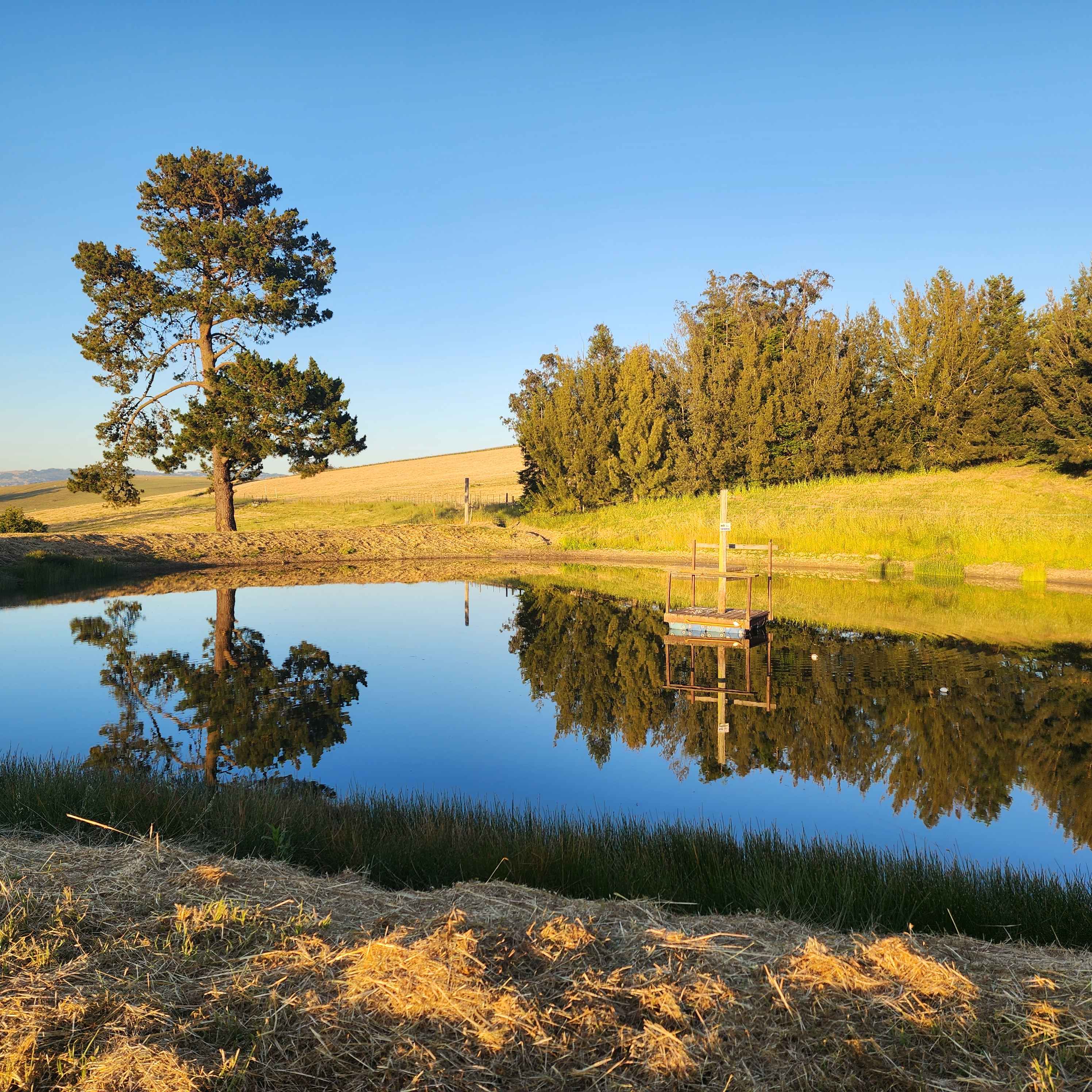 Two Rock Country Farm Stay