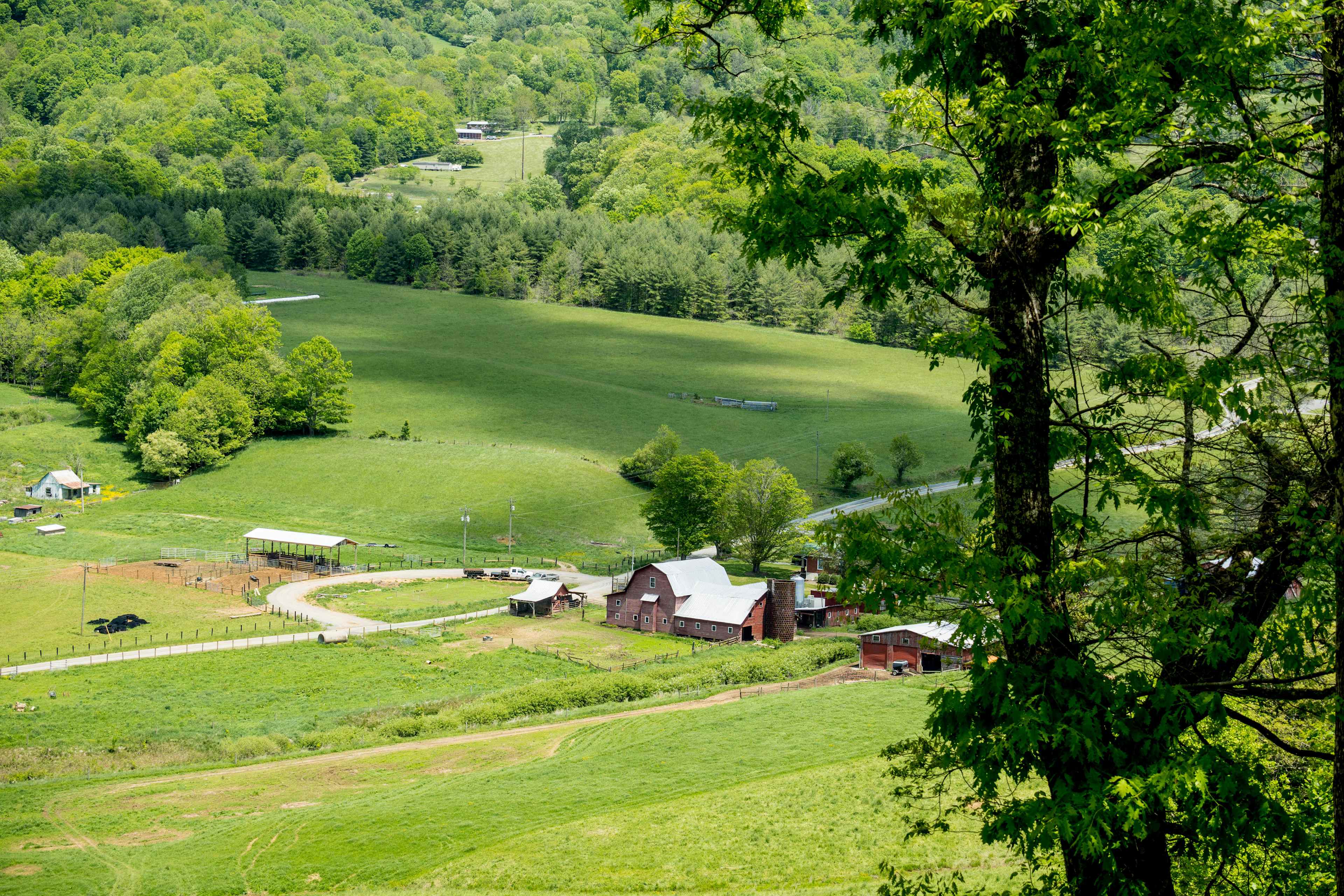 Campsites at Shipley Farms