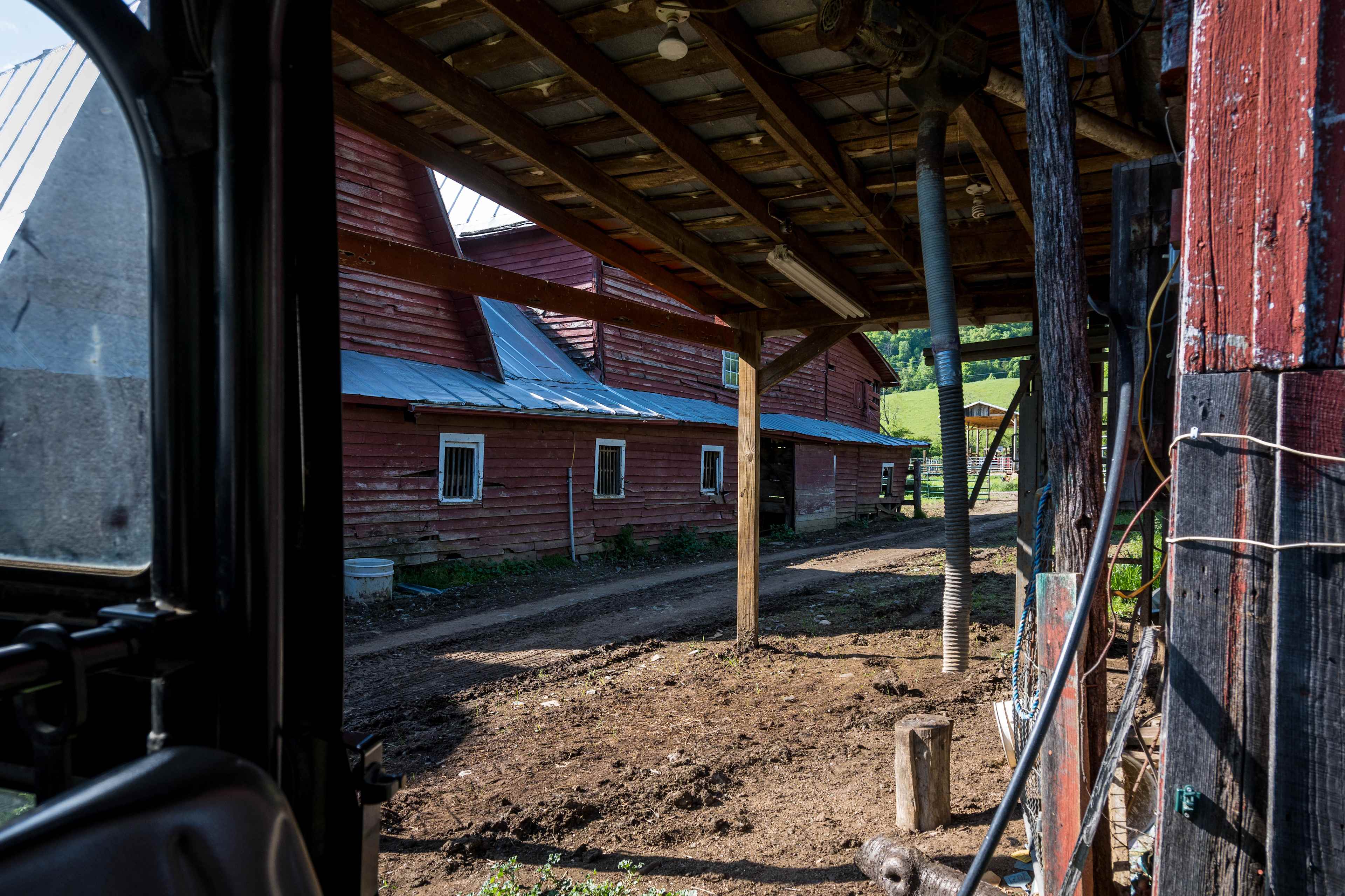 Campsites at Shipley Farms