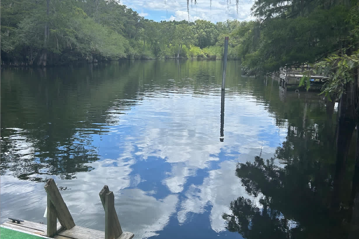 Santa Fe River's Edge