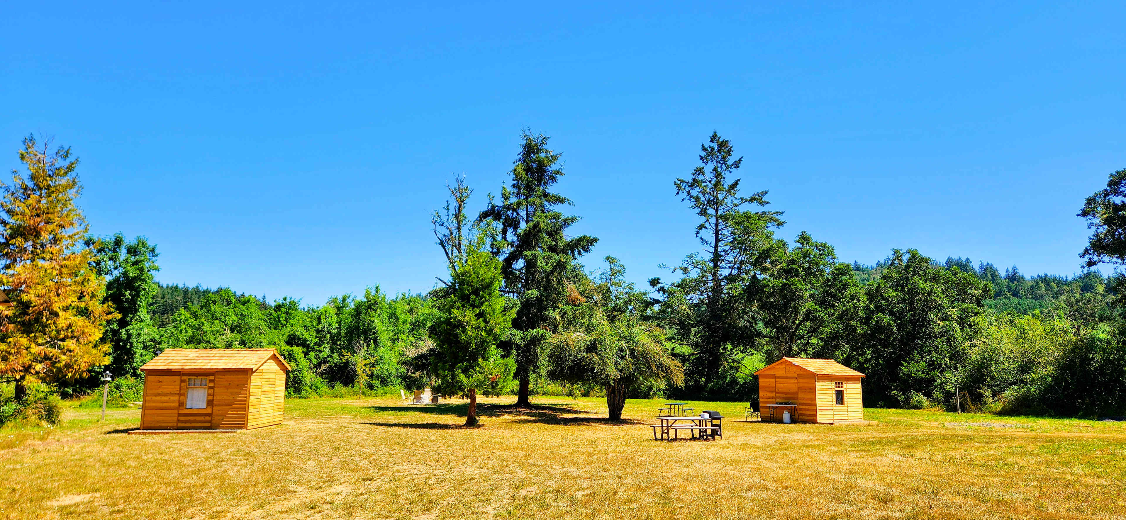 Blackberry Hollow is a vibrant area that also has a few off-grid cabins and additional RV slips.