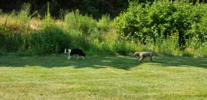 Achin' Ass Acres   -