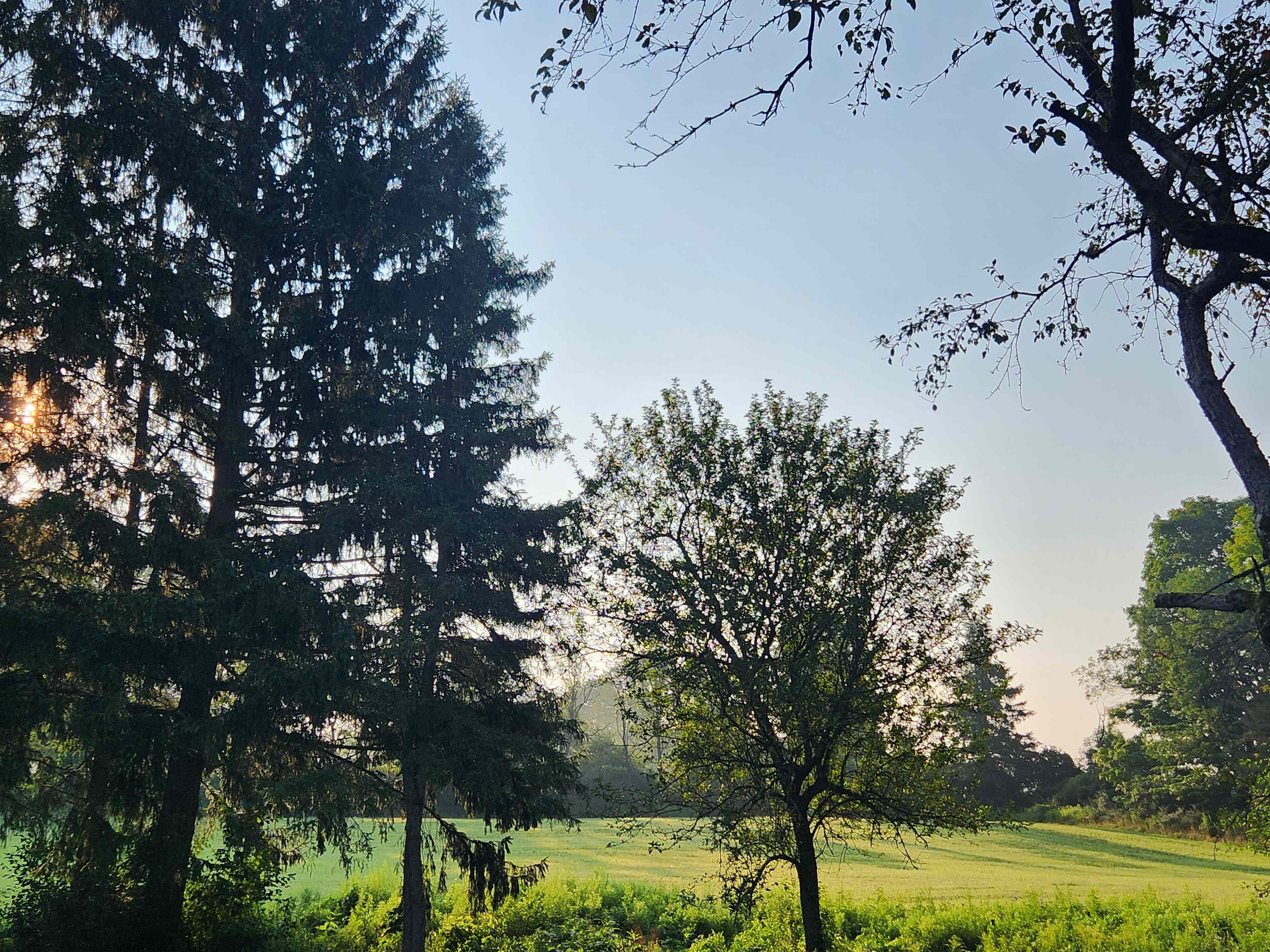 Pleasant Valley Farm