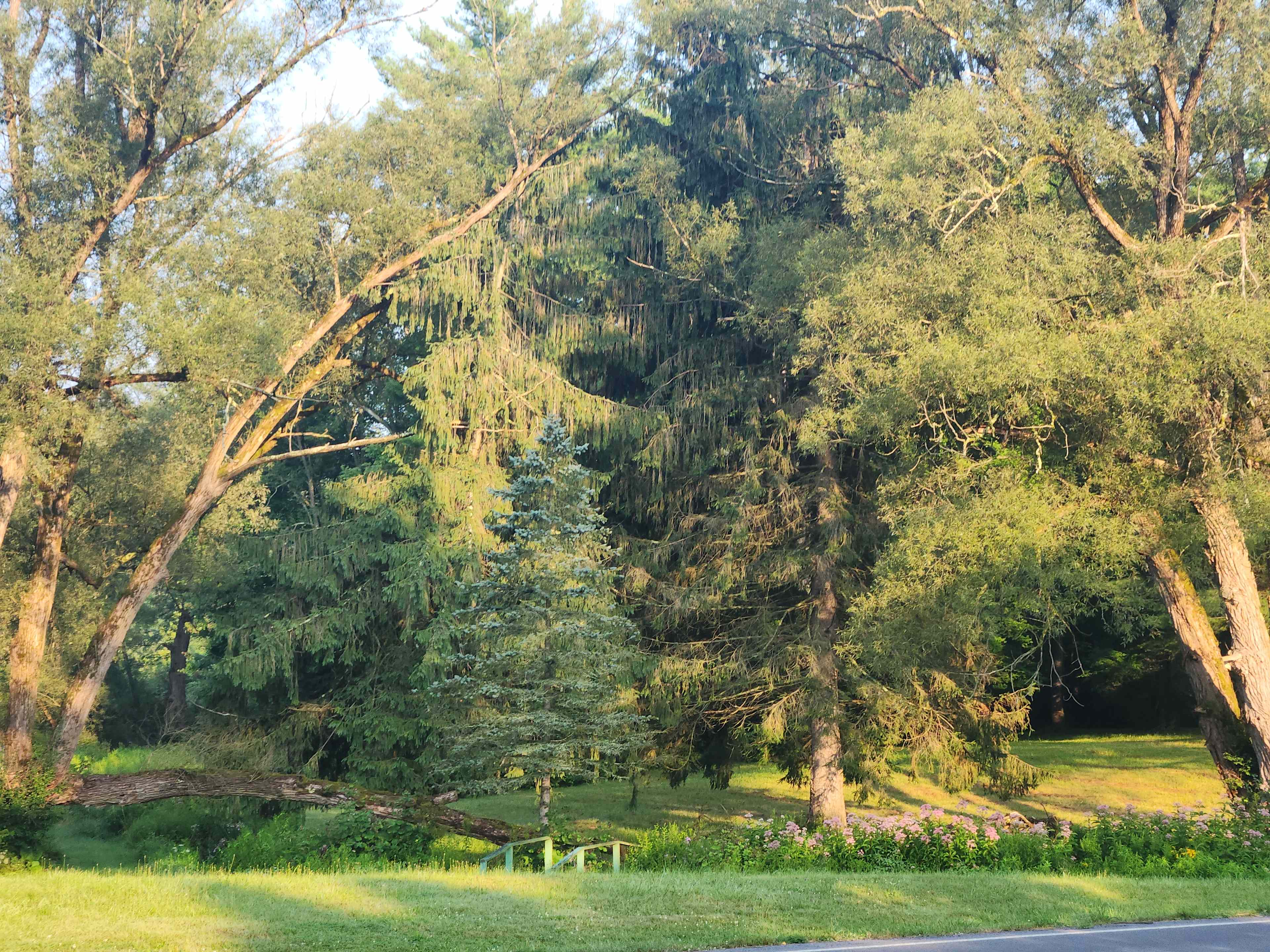 Pleasant Valley Farm