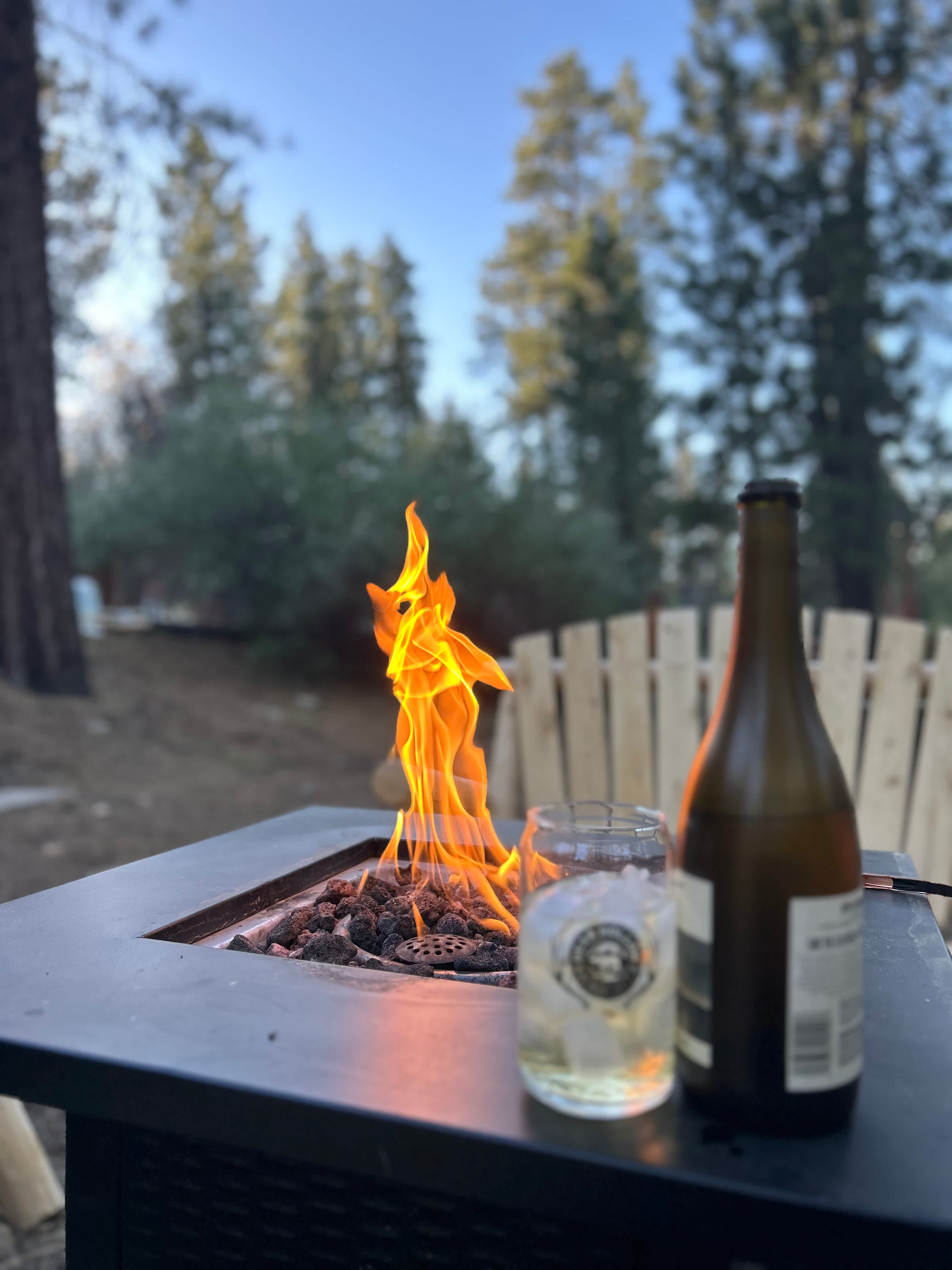 Bear Hollow Camp Site