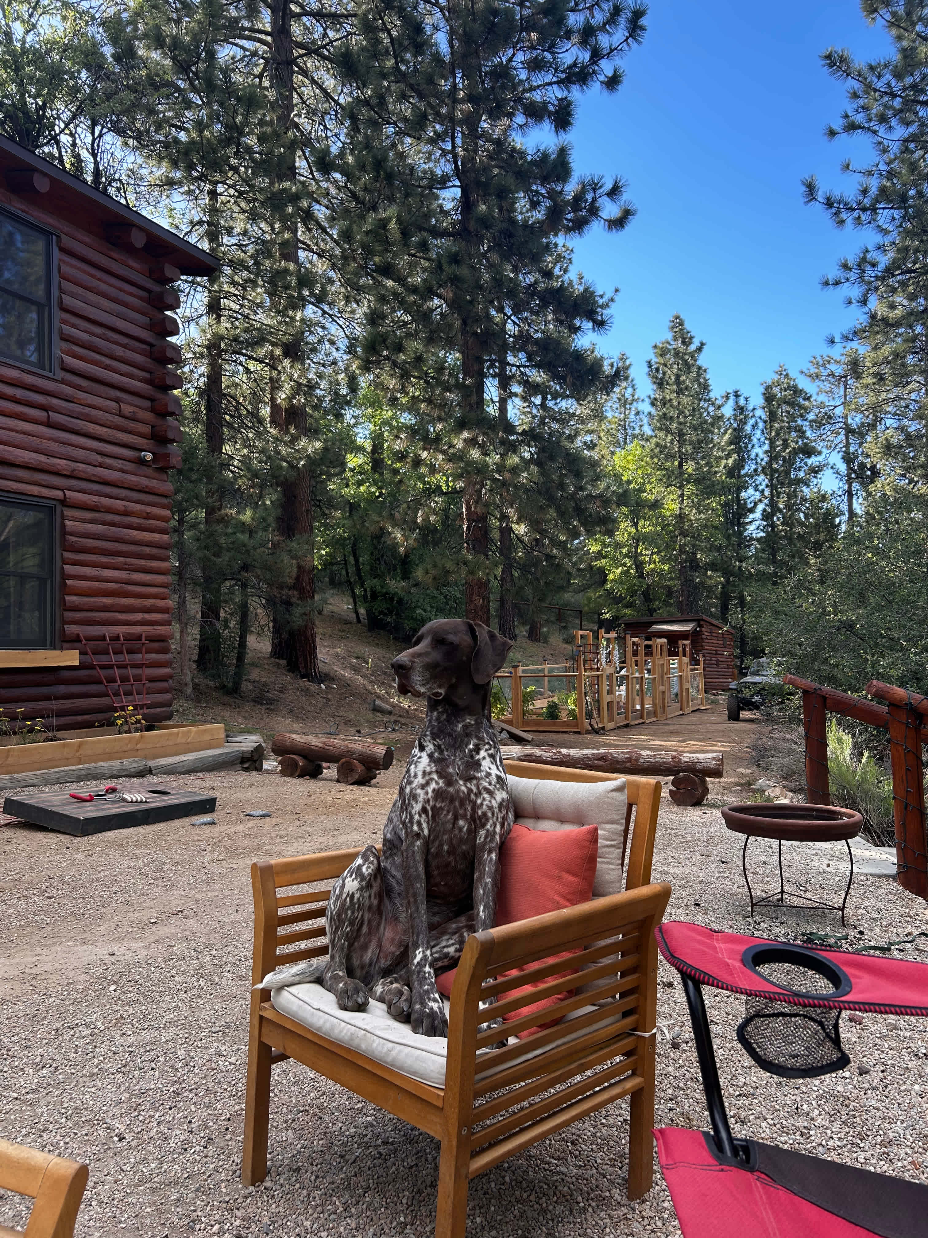 Bear Hollow Camp Site