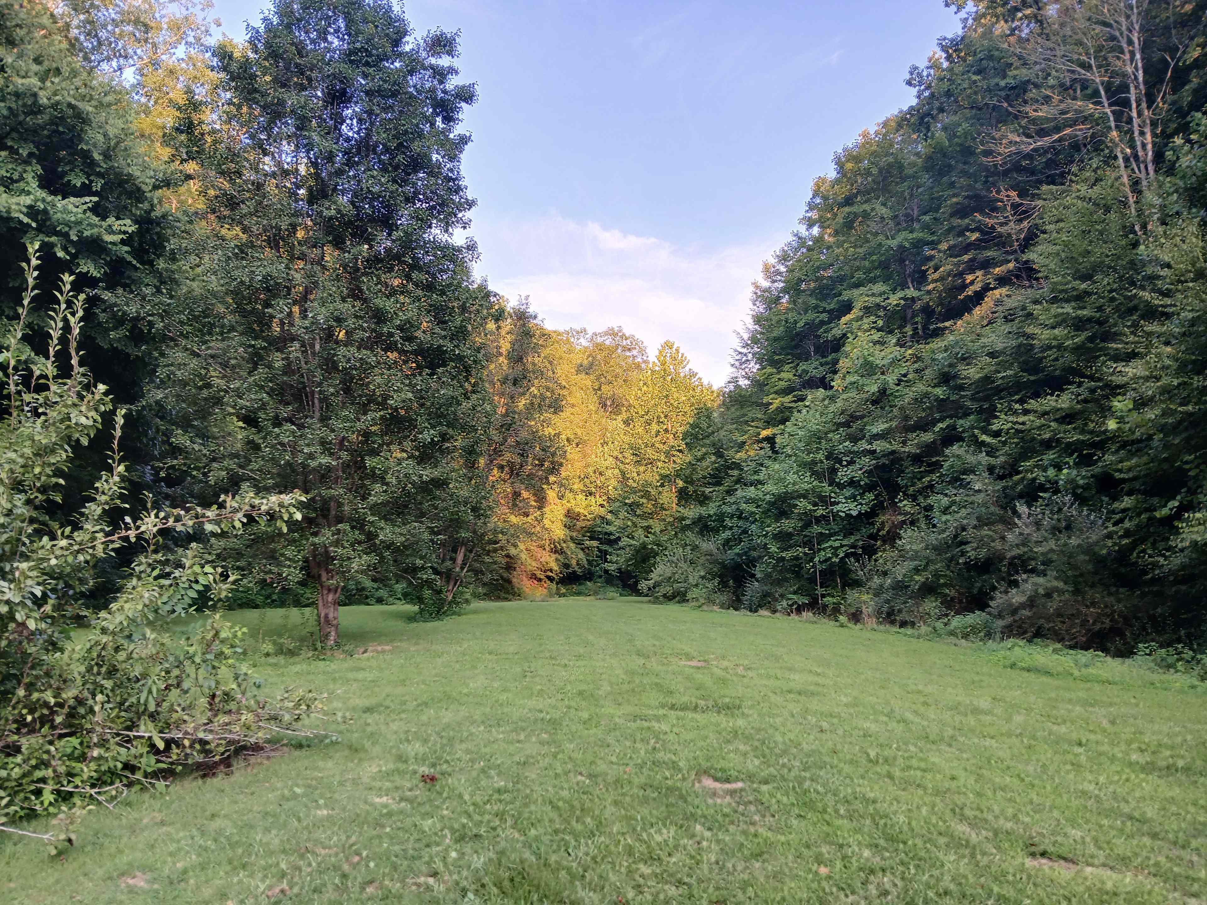 Sly Branch Creek Park and Trail