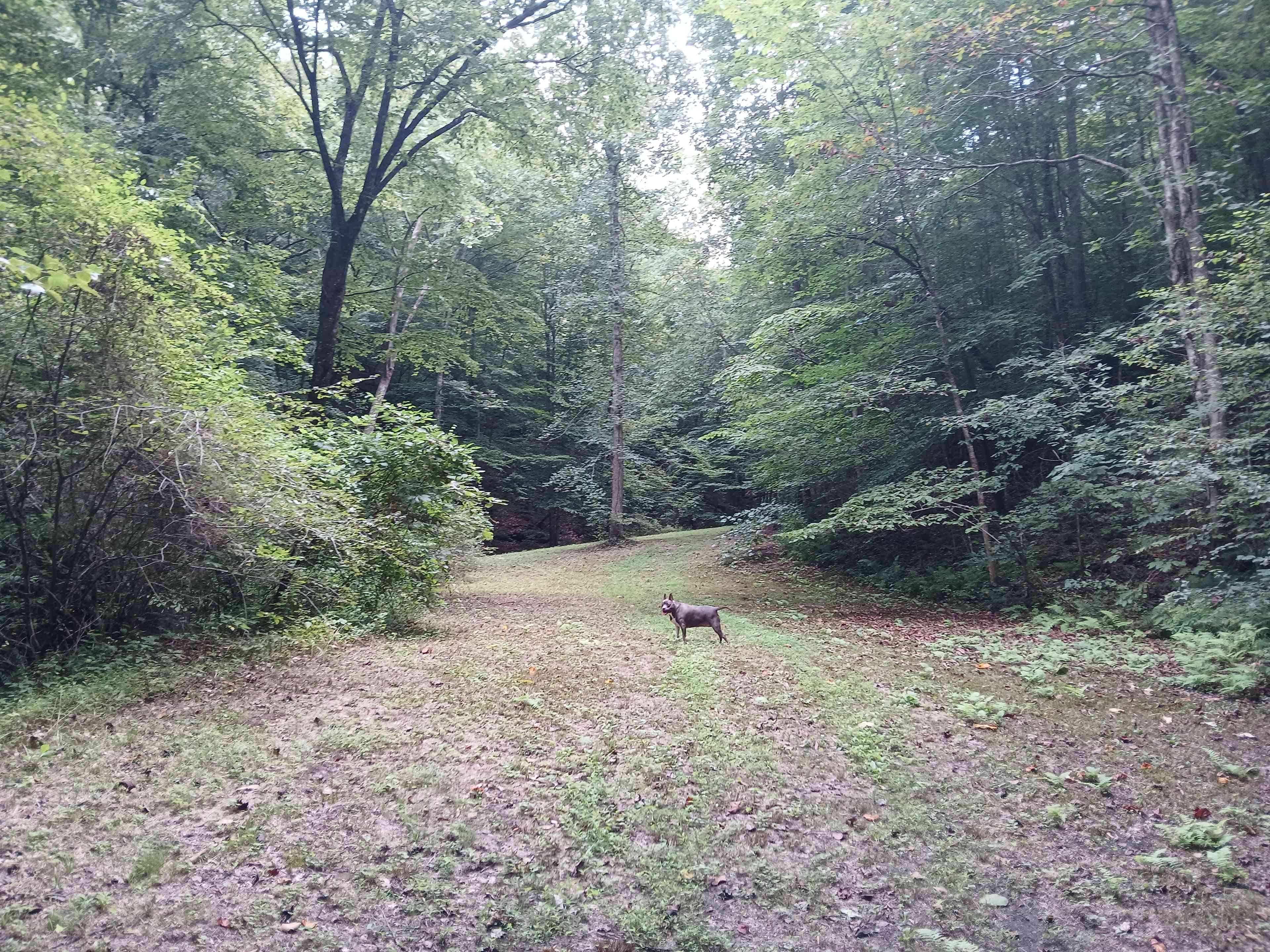 Sly Branch Creek Park and Trail