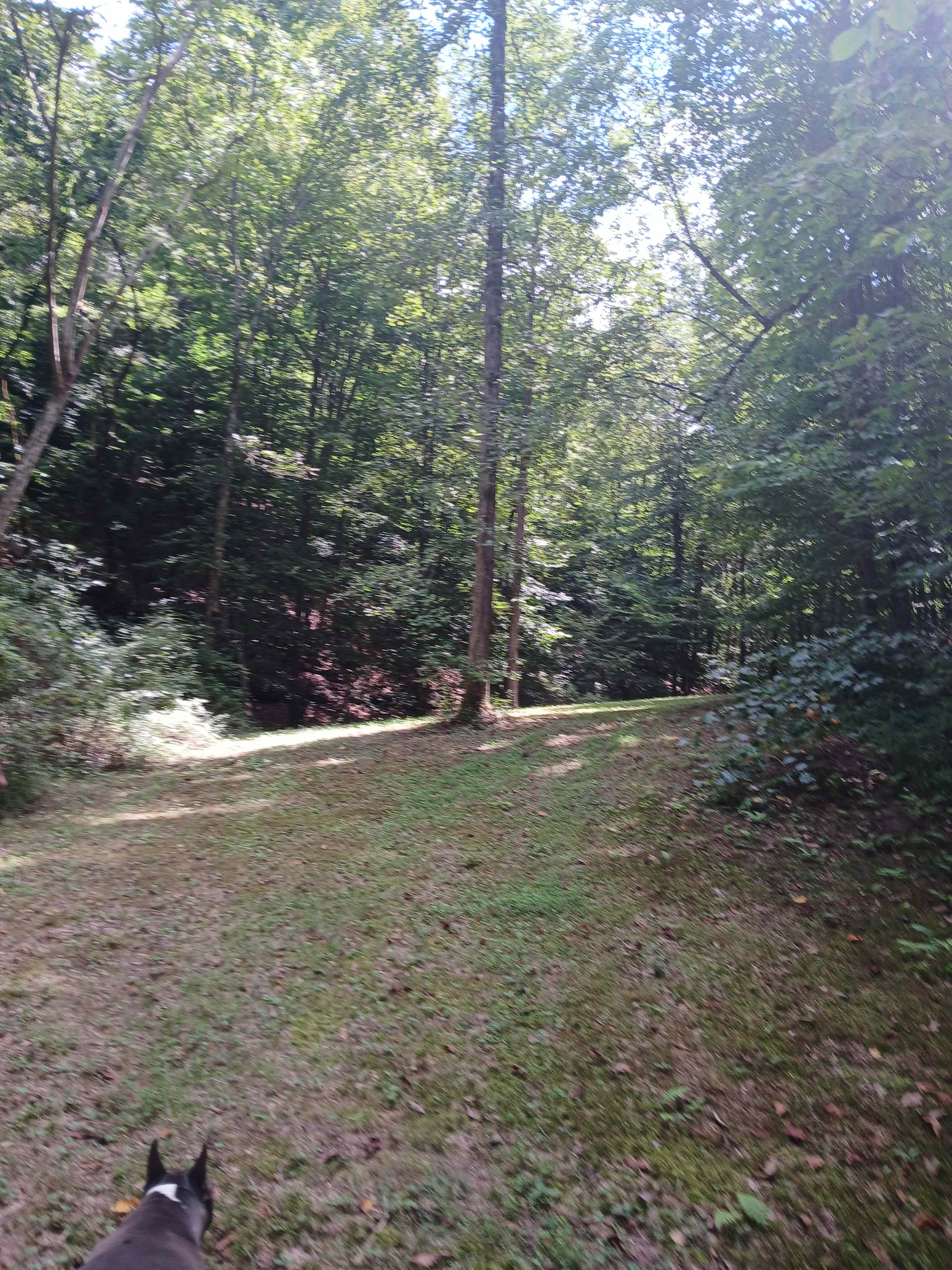 Sly Branch Creek Park and Trail