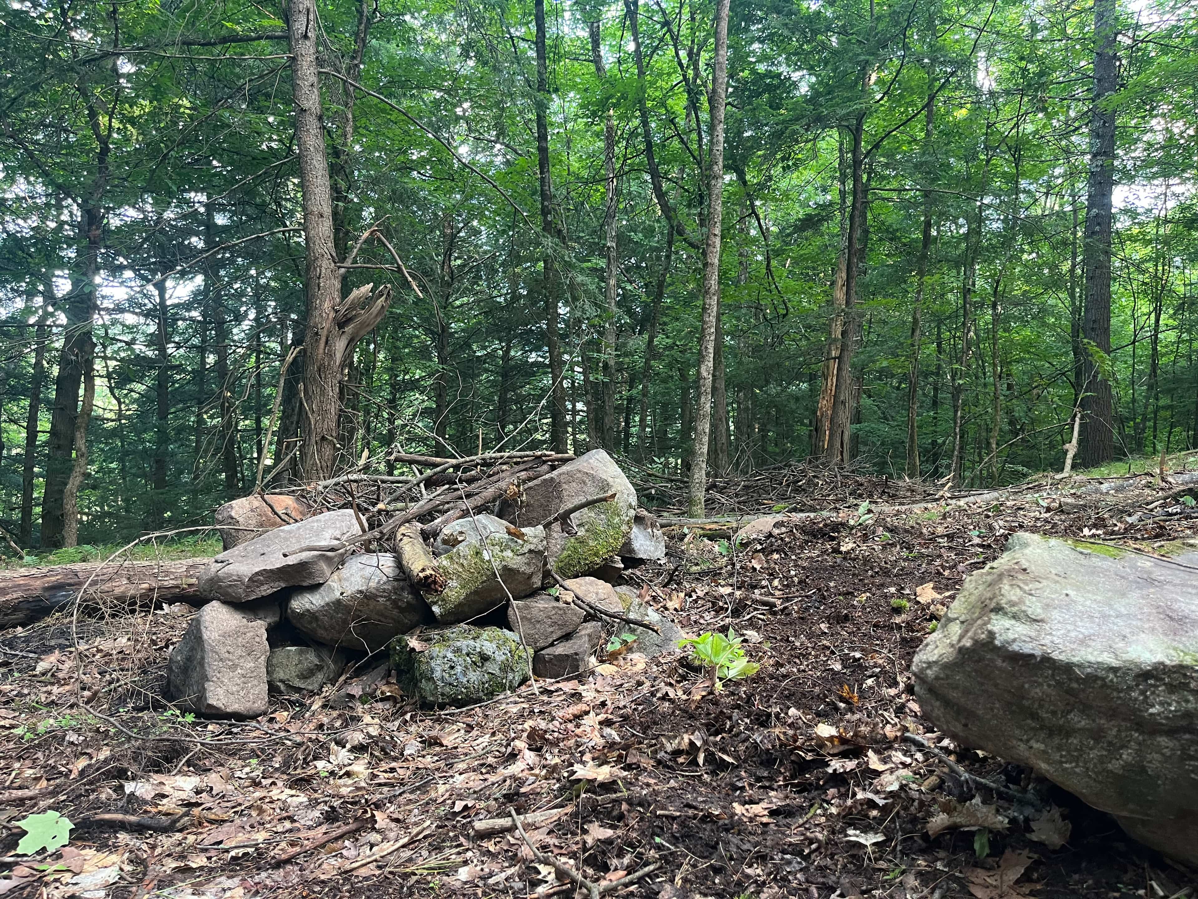 Pike Brook Camping