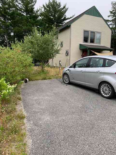 Acadia Milkweed & Catnip