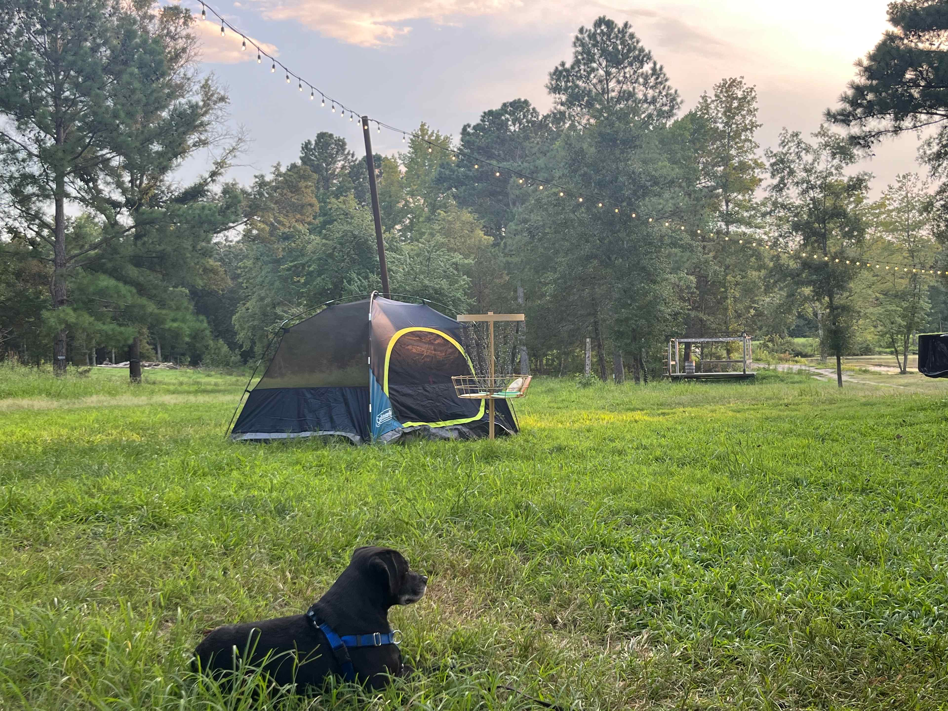 Farm Stay at Saxapahaw Country Club