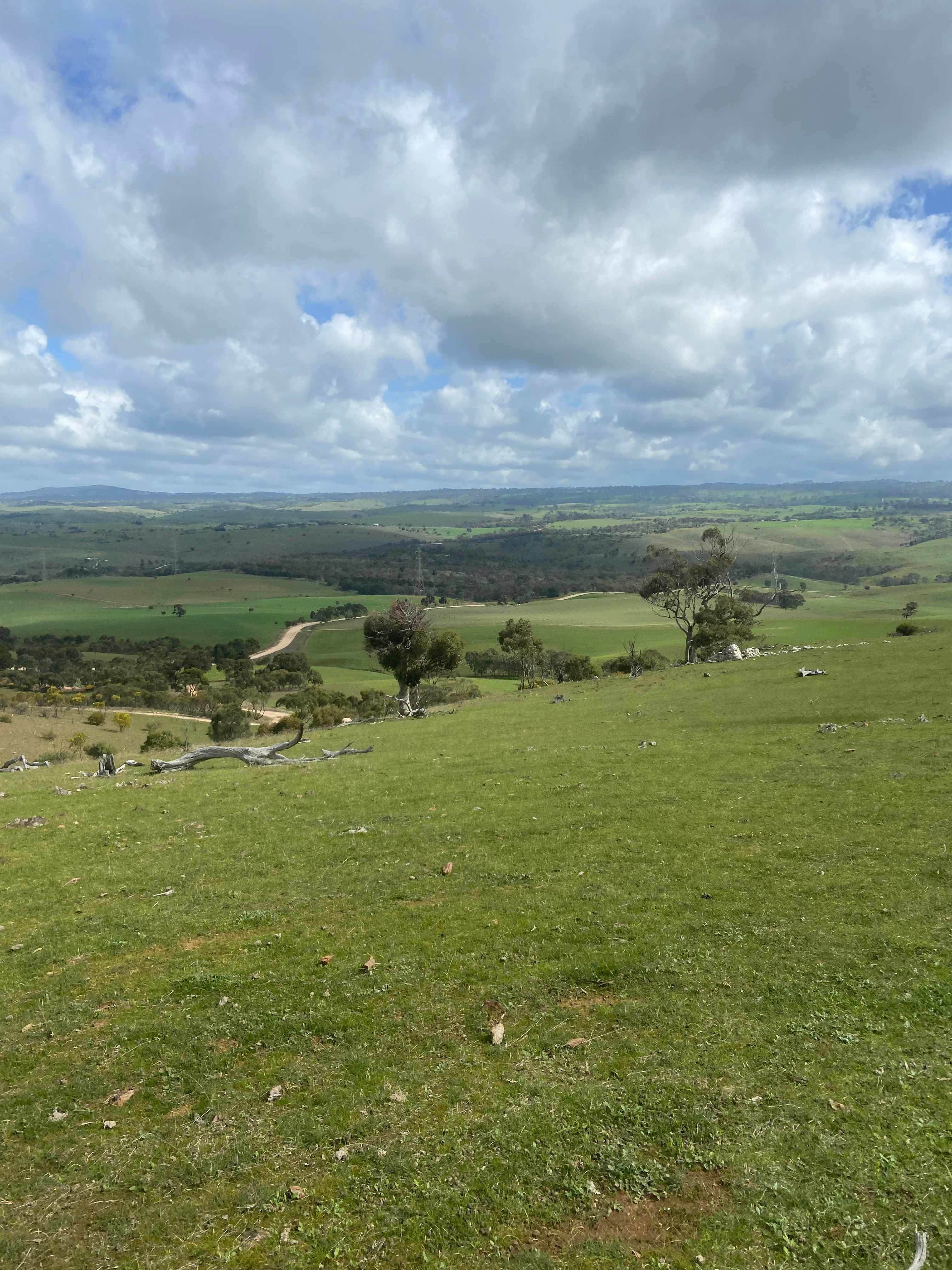 The Plateau Adventures
