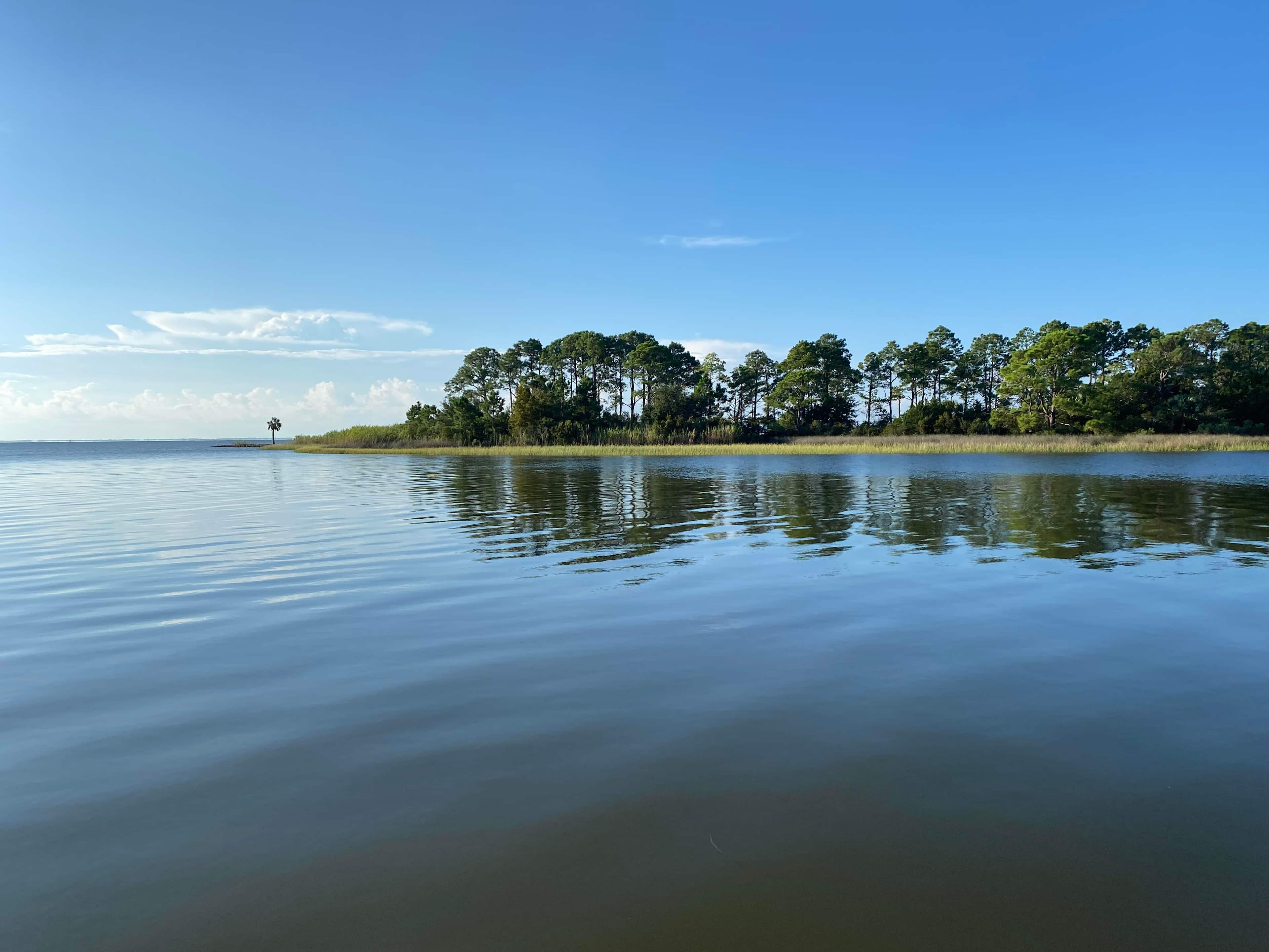 The bay is fun to watch for dolphins and Eagles nest in the tall trees at Bird Island to the left and can be seen often.  The other side is sandy.