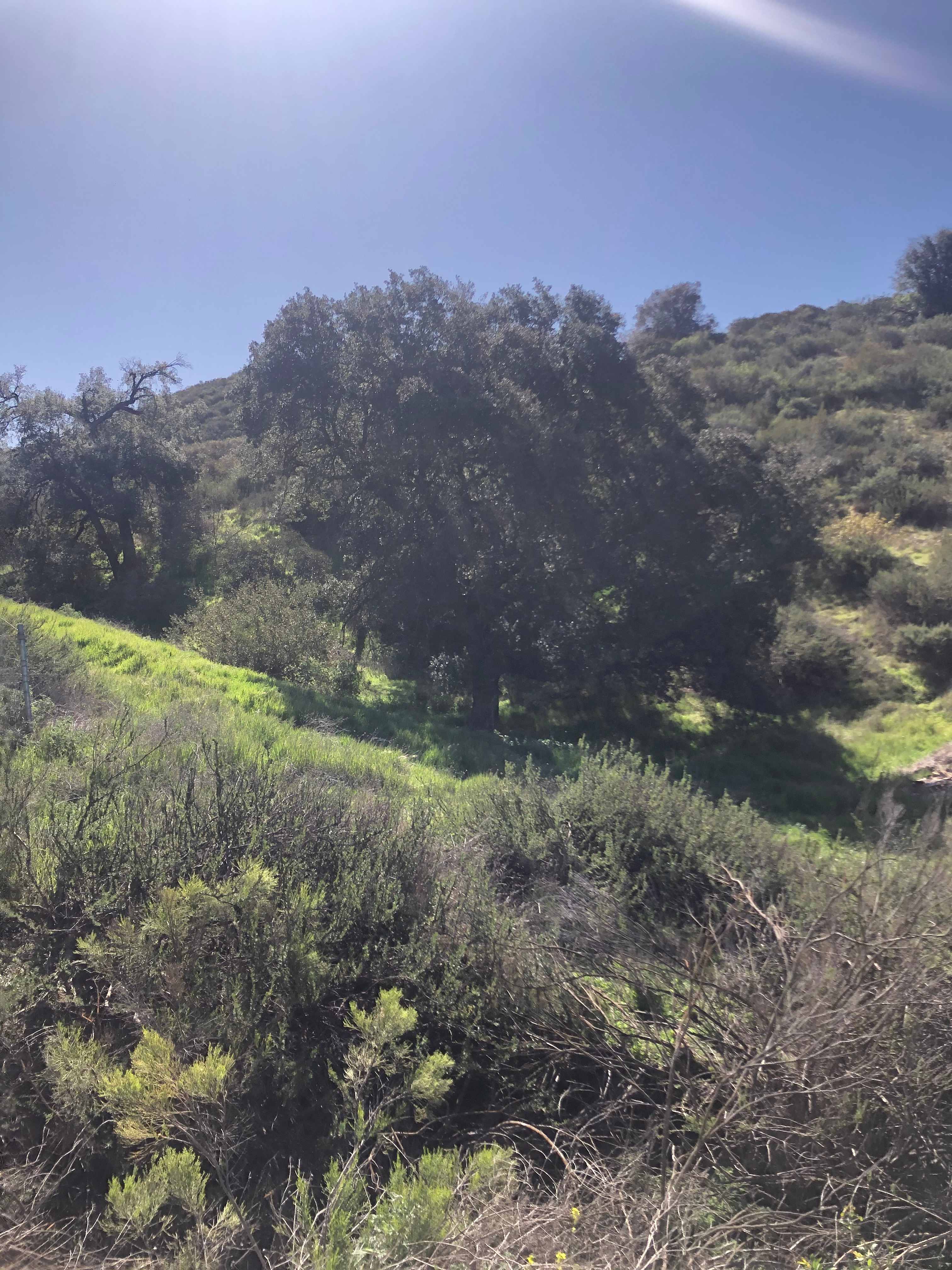 Rancho Hermes