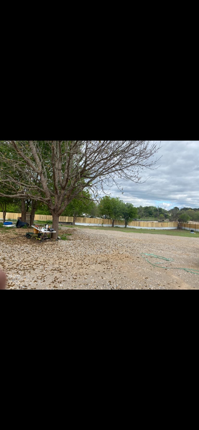 AA