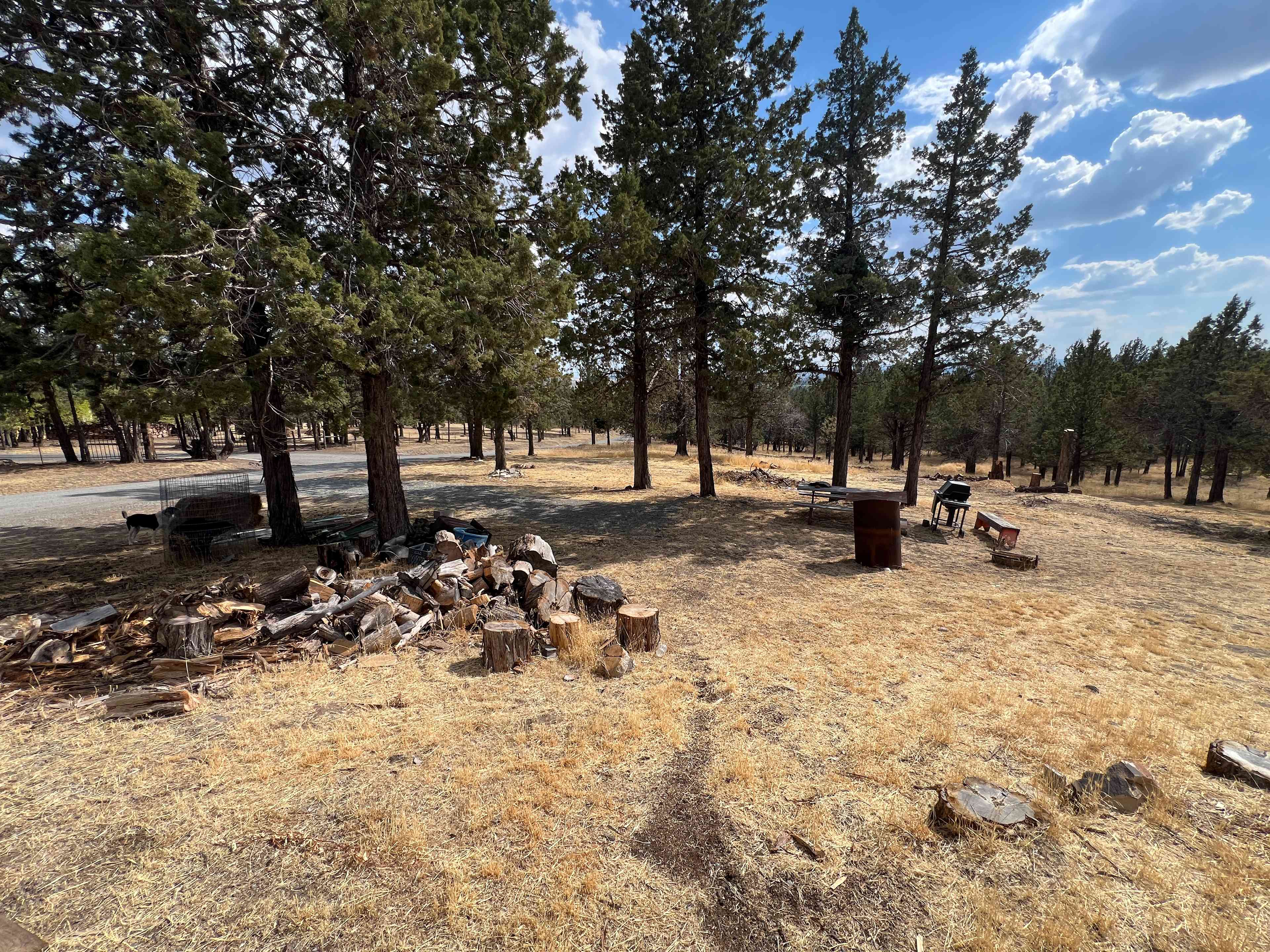 Camp Calamity