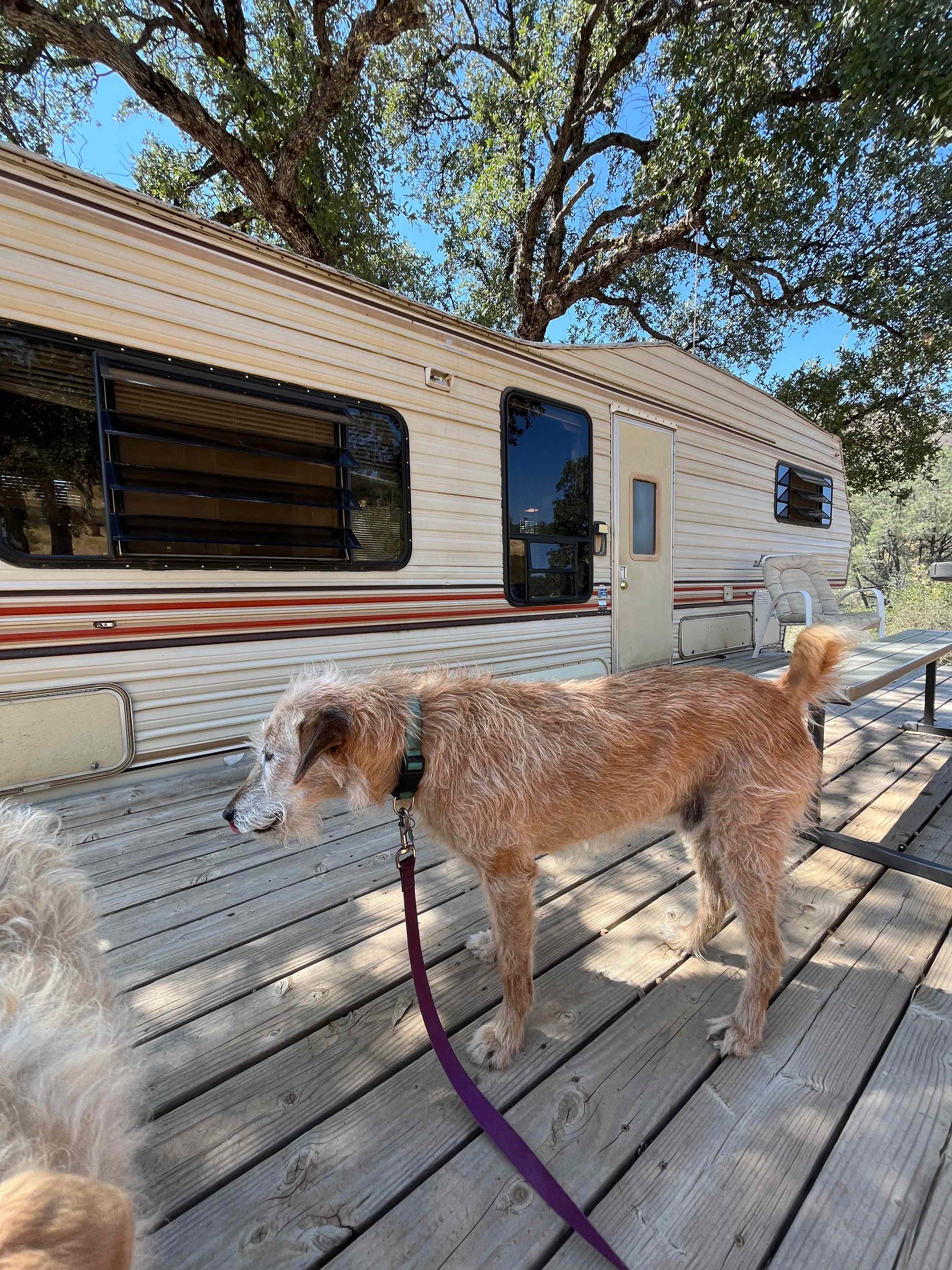 Canyon Crest Campground and RV