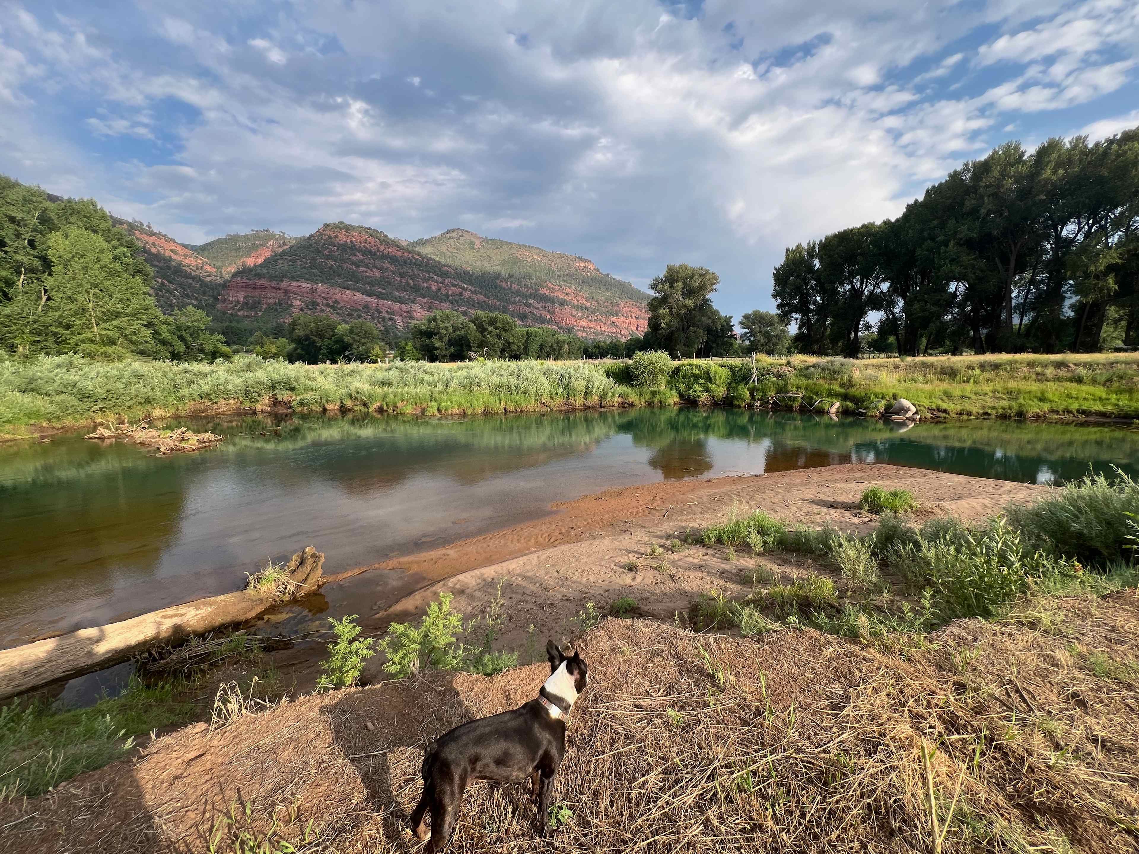 Riverside Meadows Camping