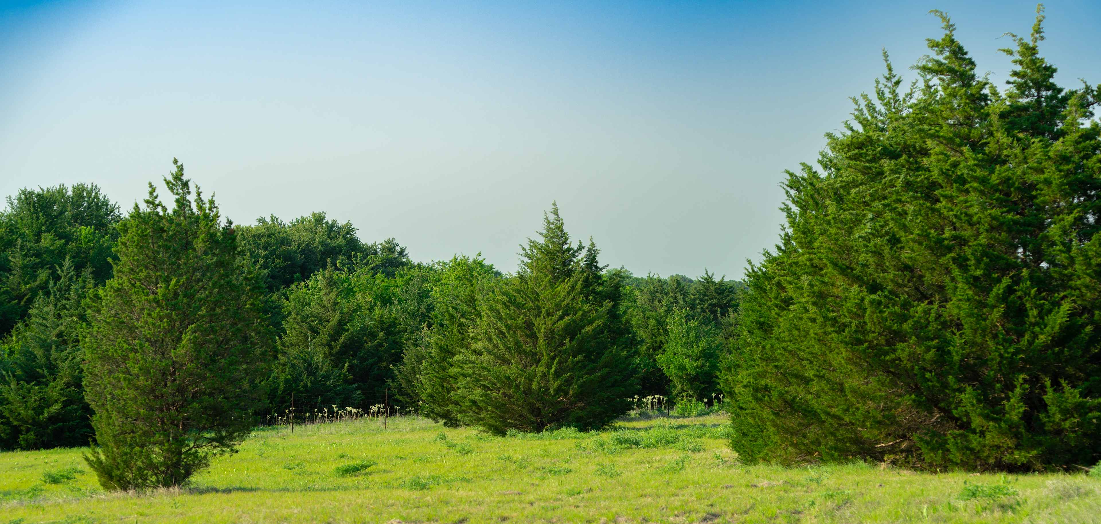 Grayson Farms Camping And Events