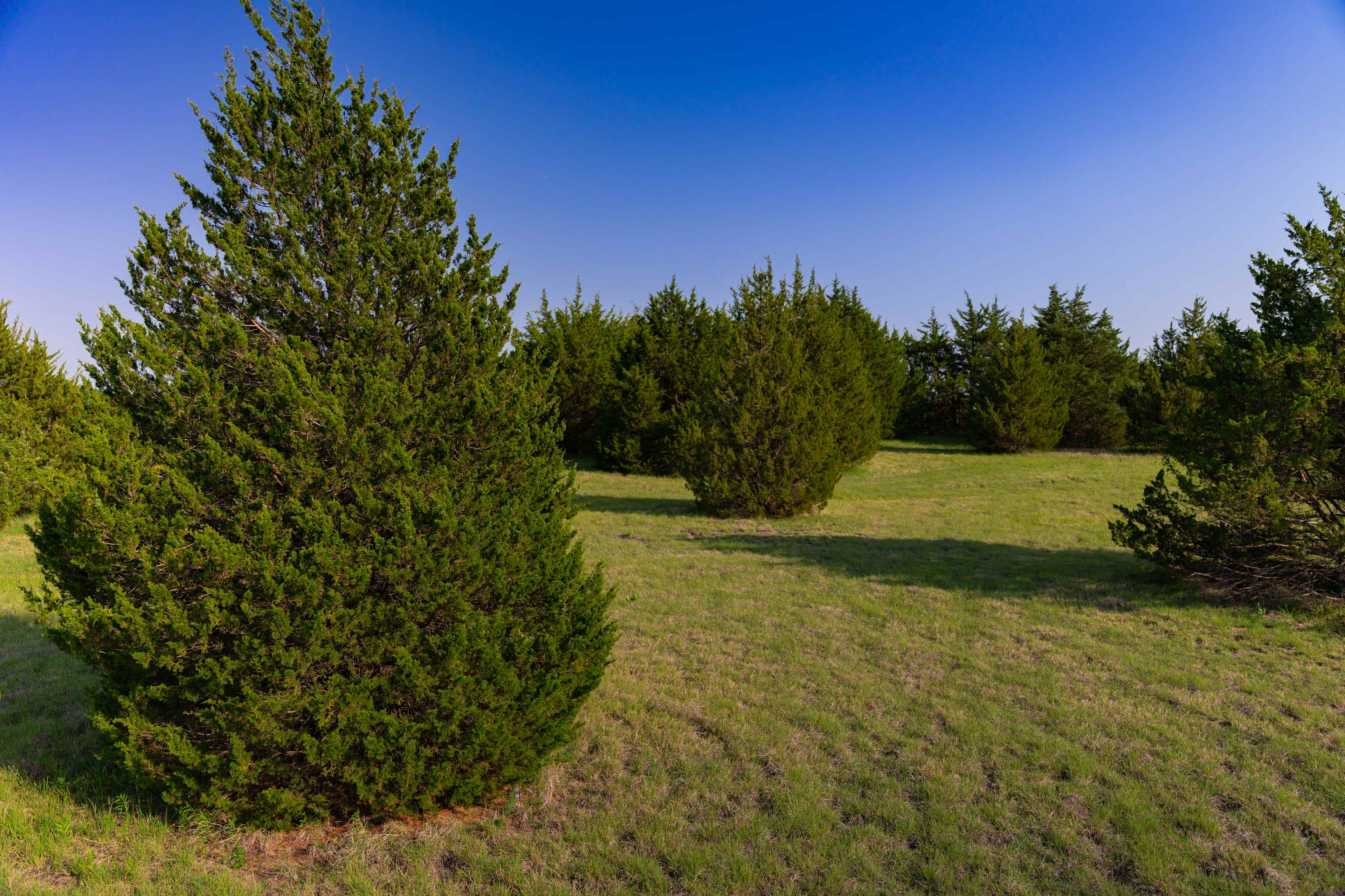 Grayson Farms Camping And Events