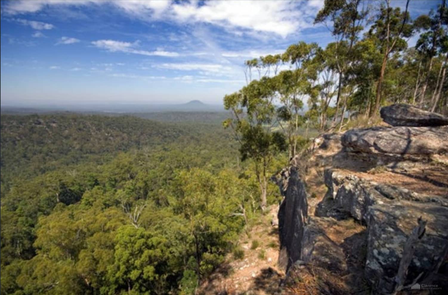 Dreamadua Forest Camp