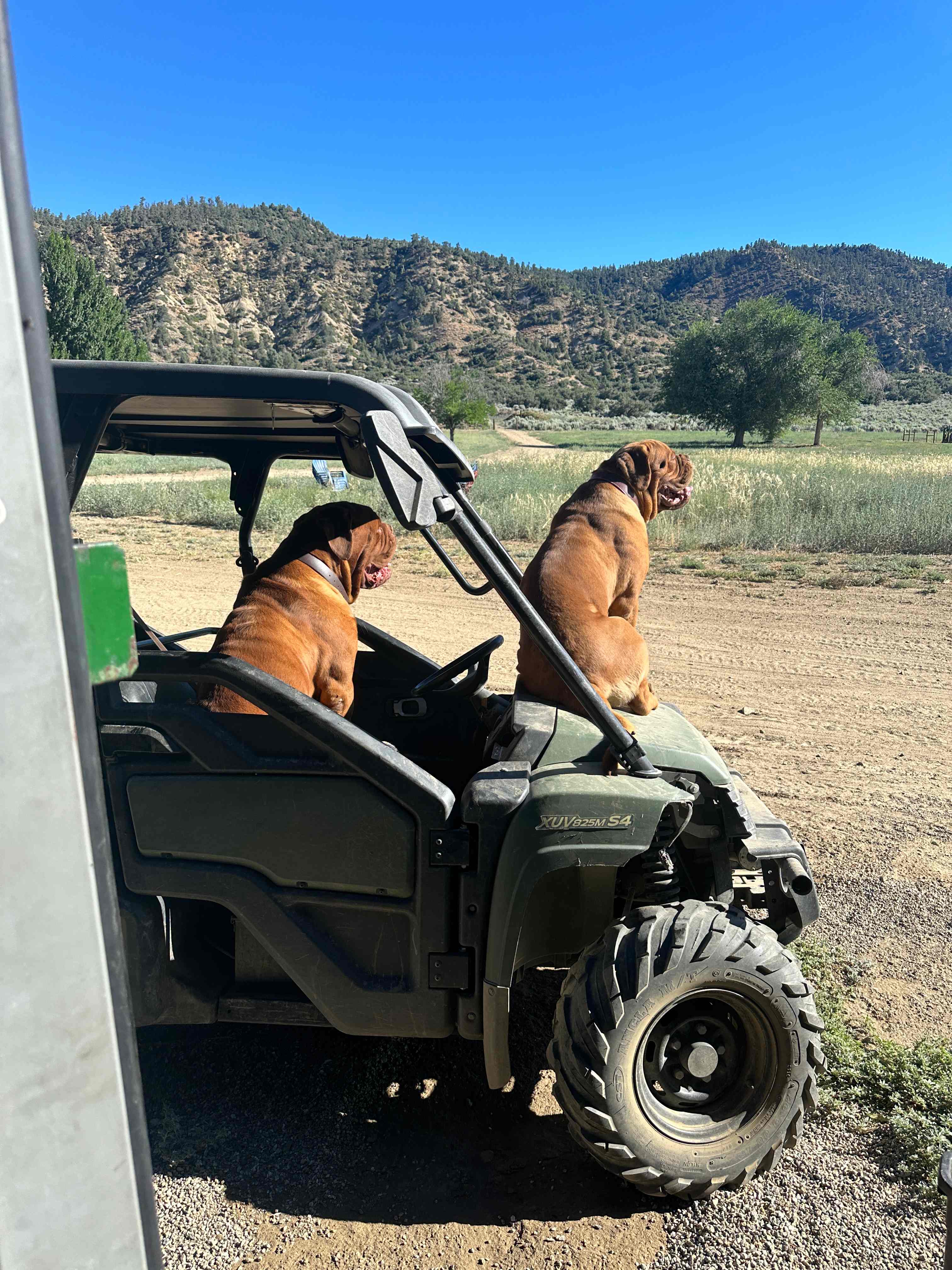 North Fork Ranch (Horses Welcome)