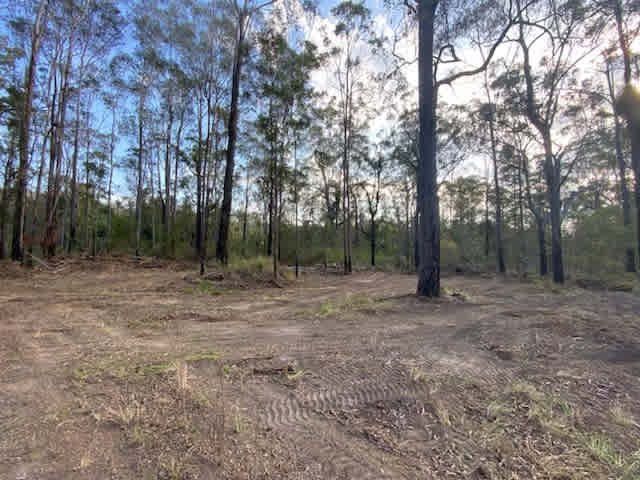 Dreamadua Forest Camp