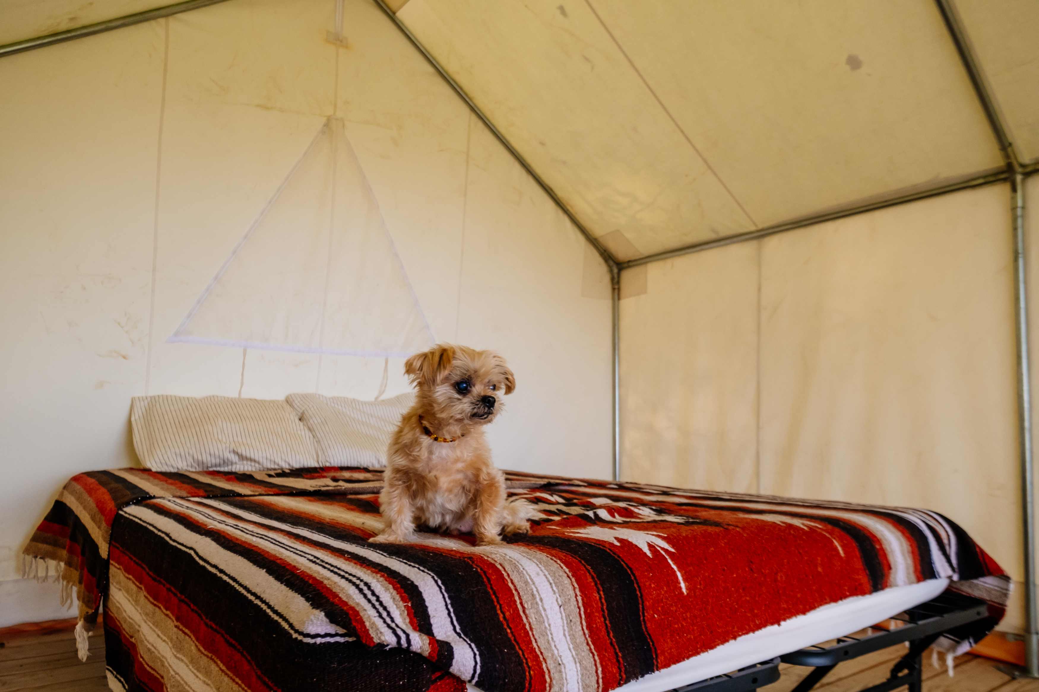 We love a cozy bed.