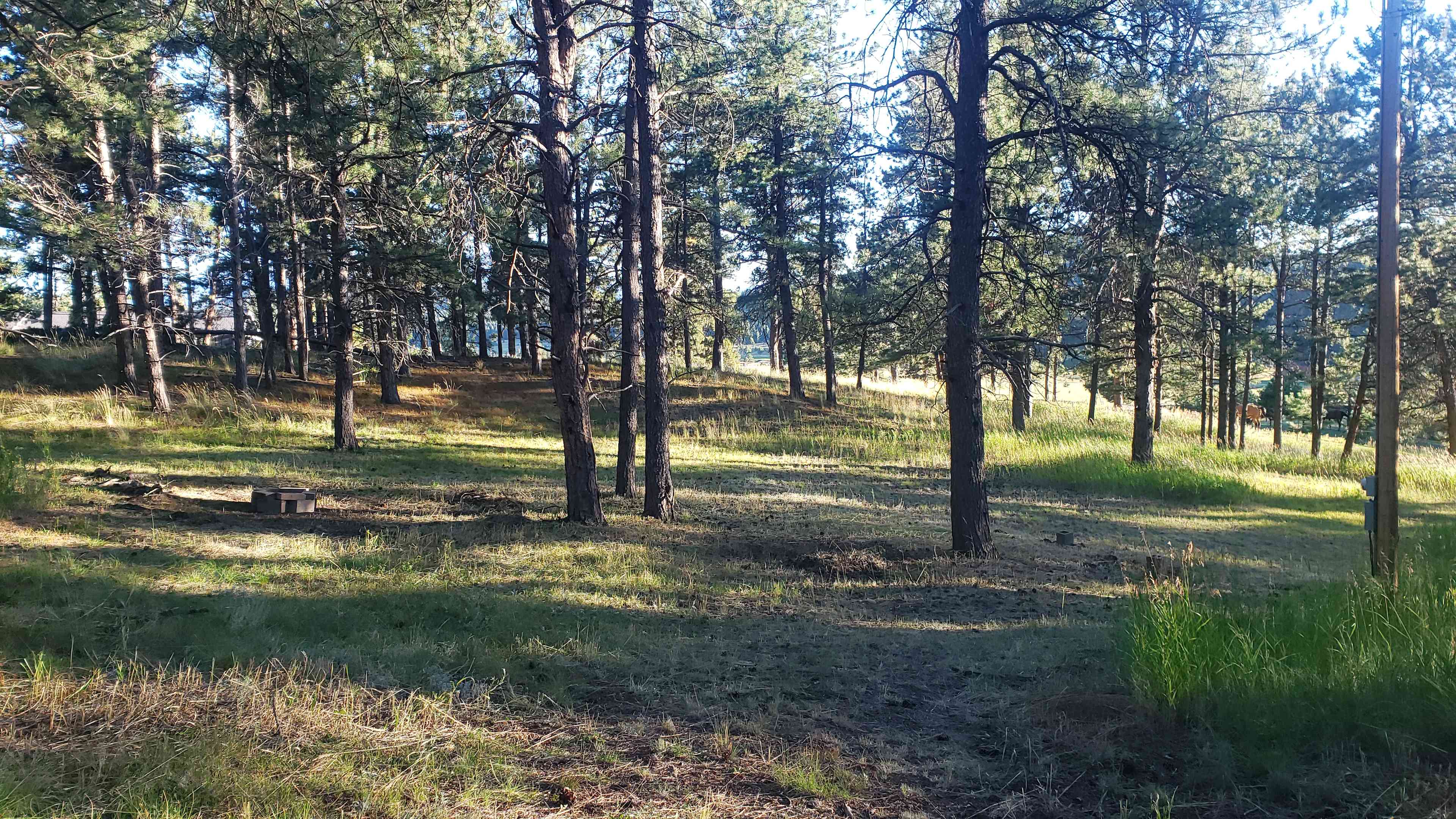 Dog friendly Peak Forest Ranch