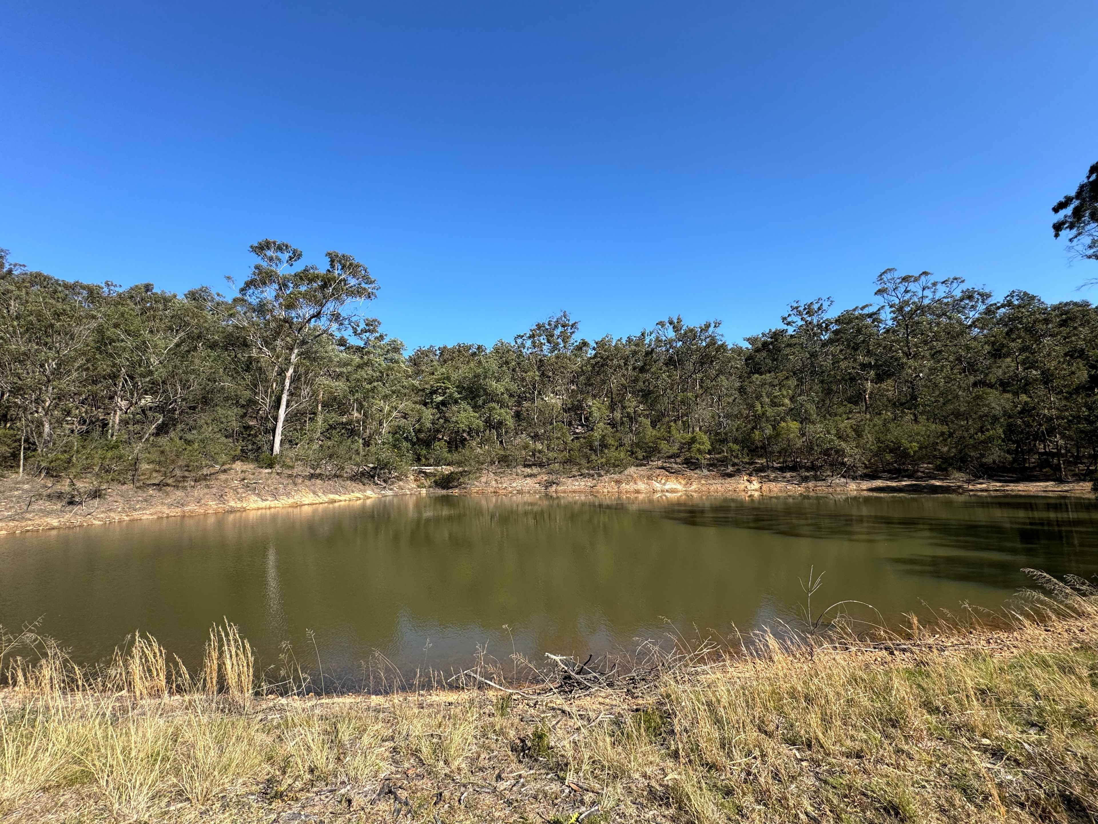 Bullridge Farm-Secluded & Uncrowded